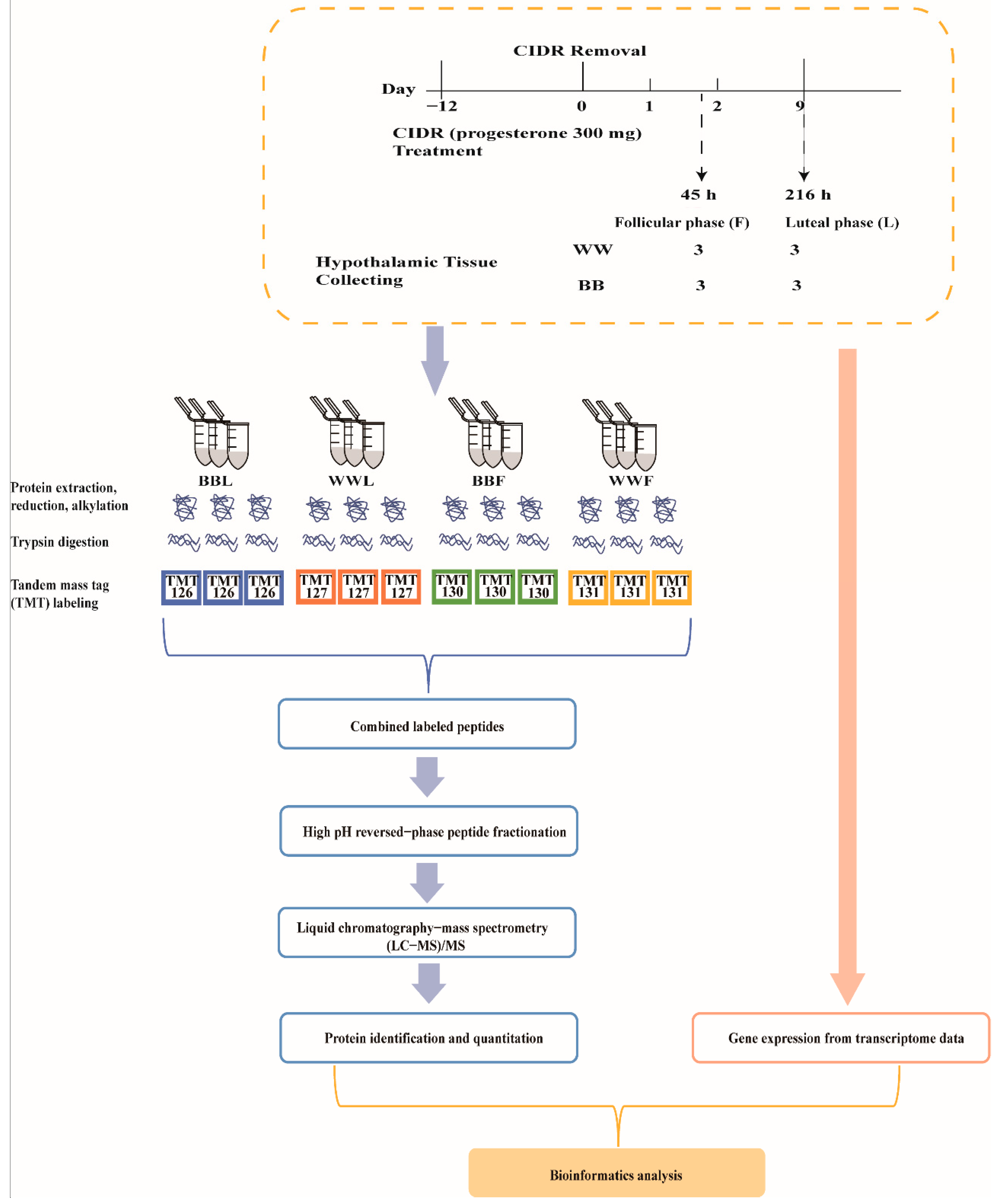 Biology 12 00072 g001