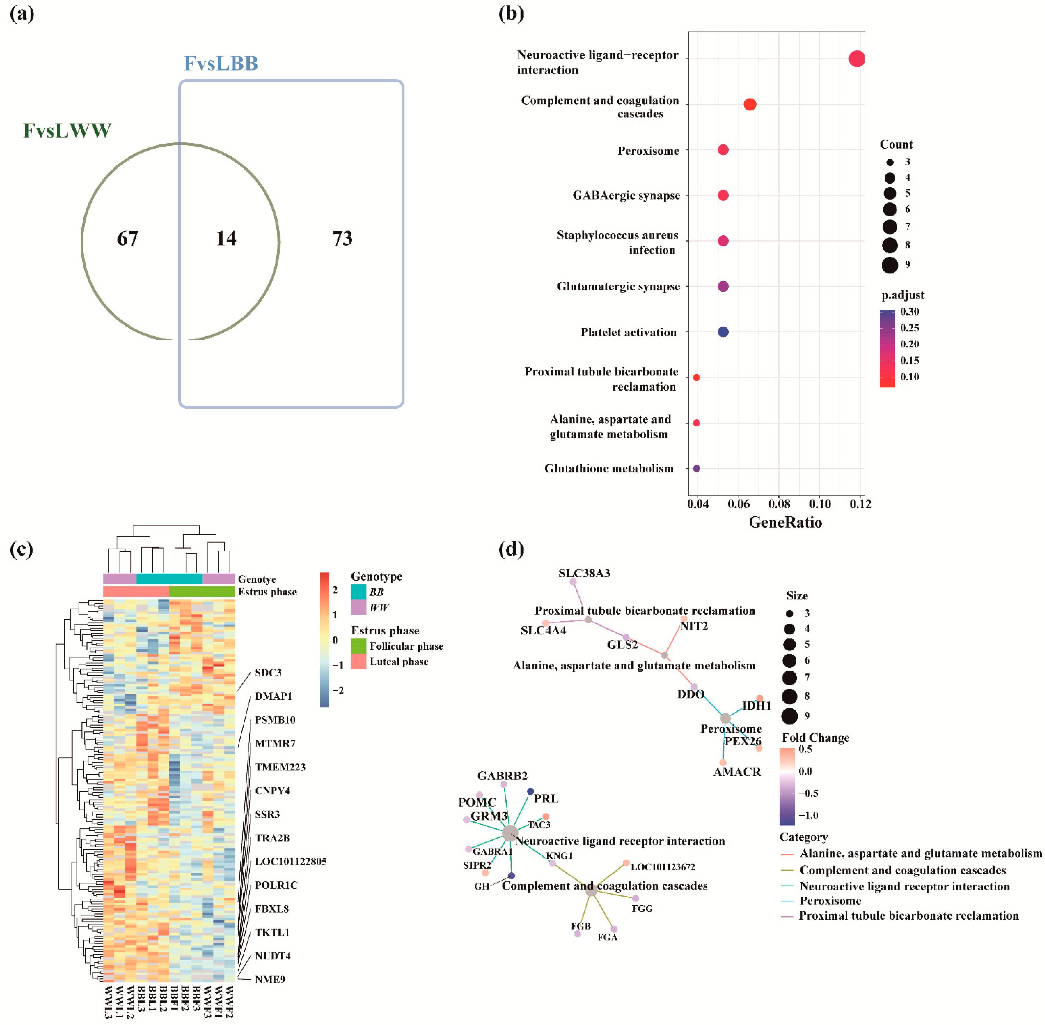 Biology 12 00072 g004