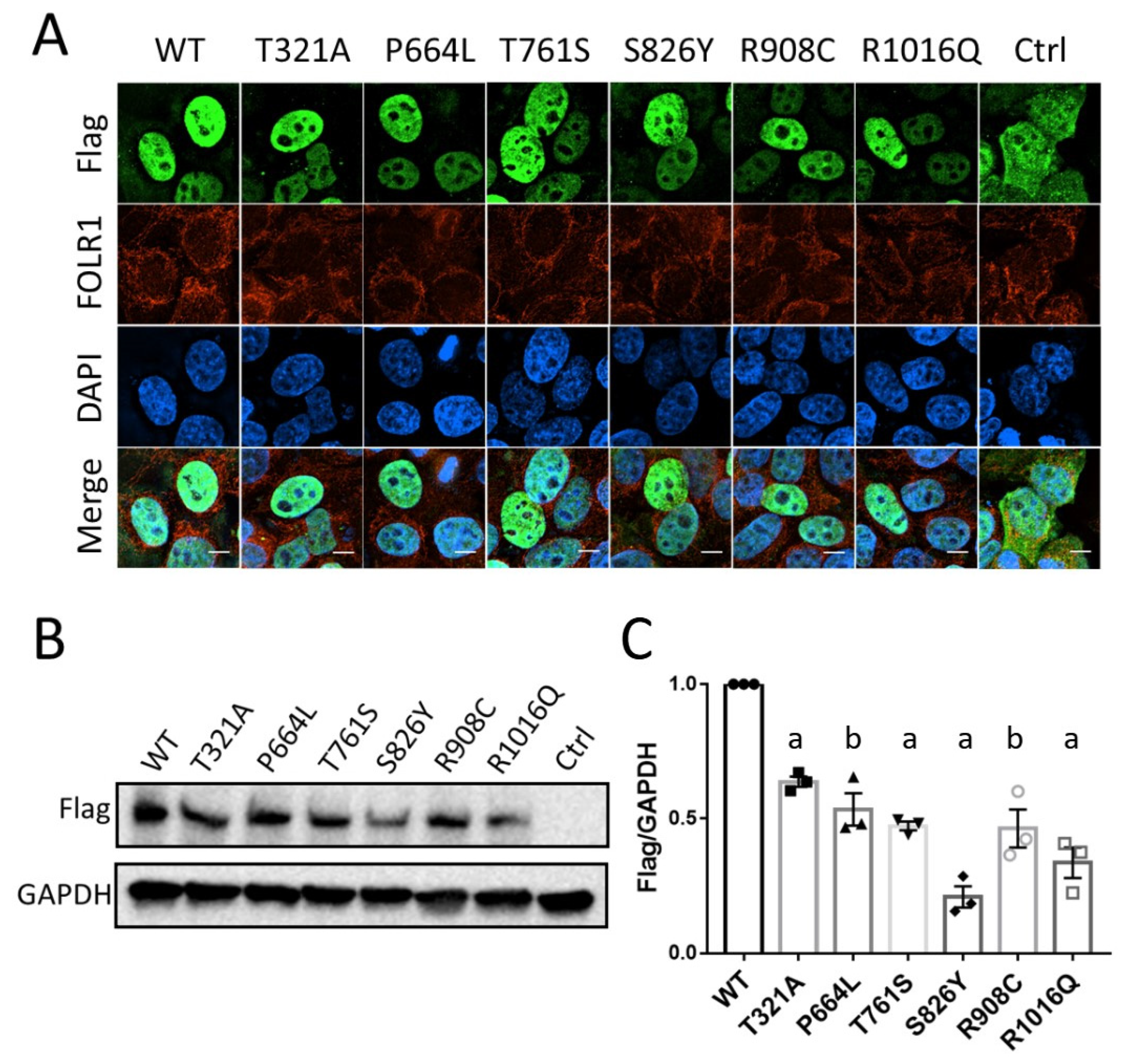 Biology 12 00074 g002