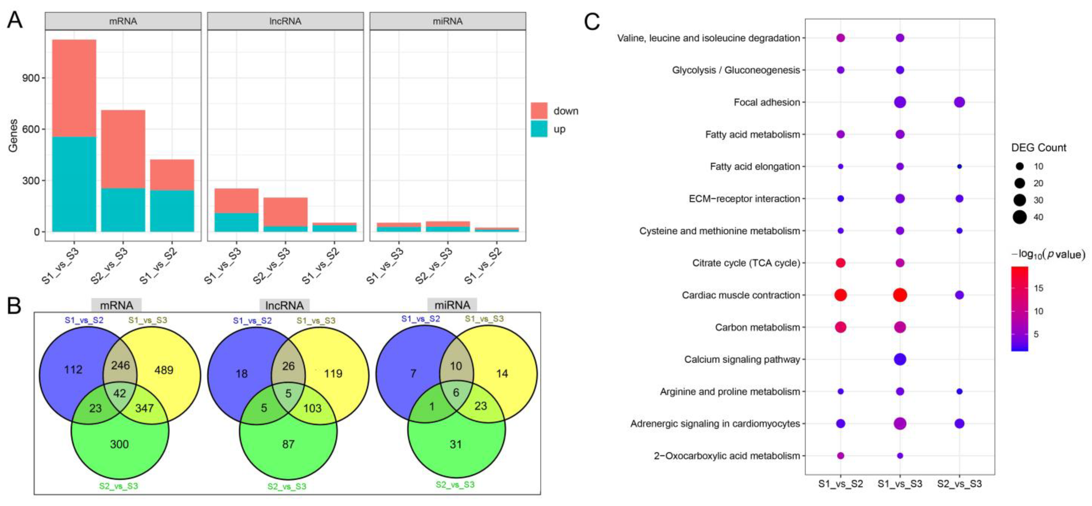 Biology 12 00075 g002