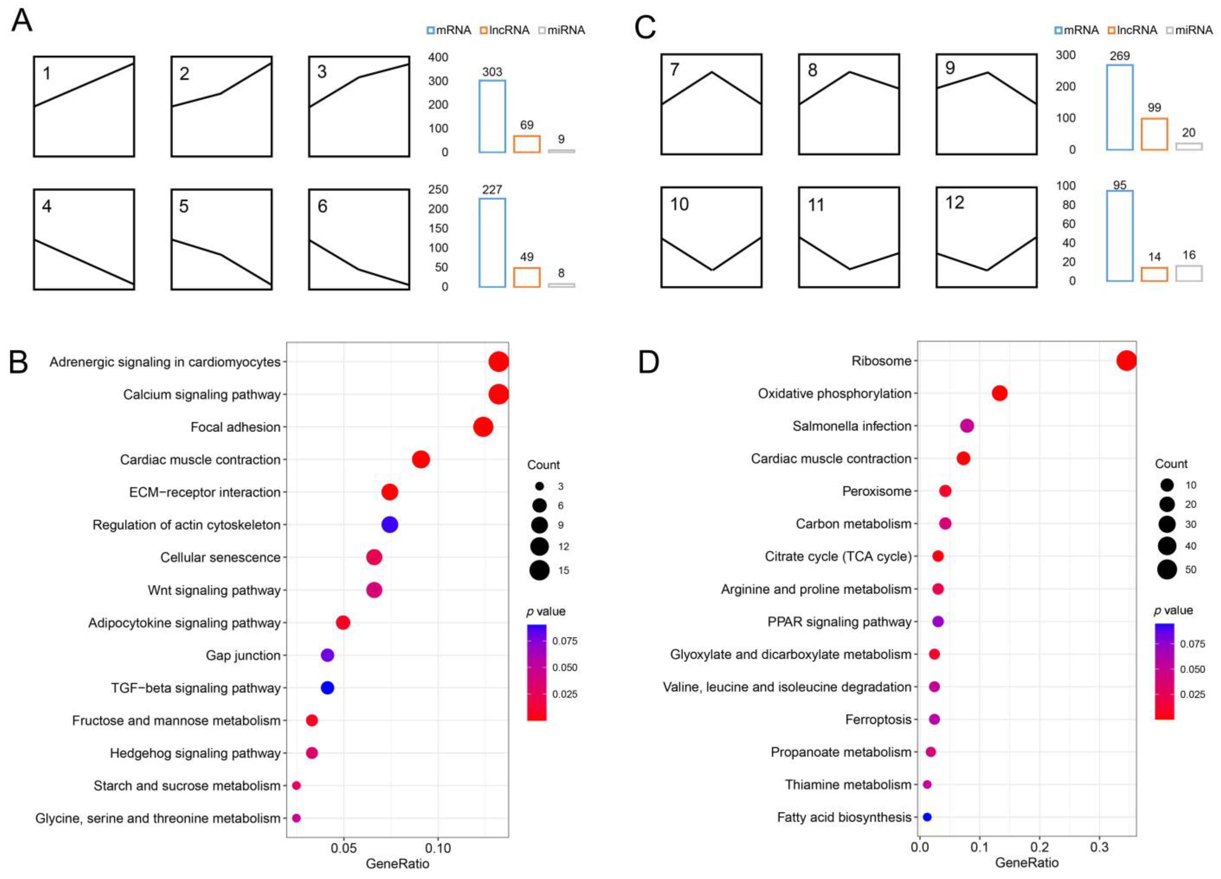 Biology 12 00075 g003