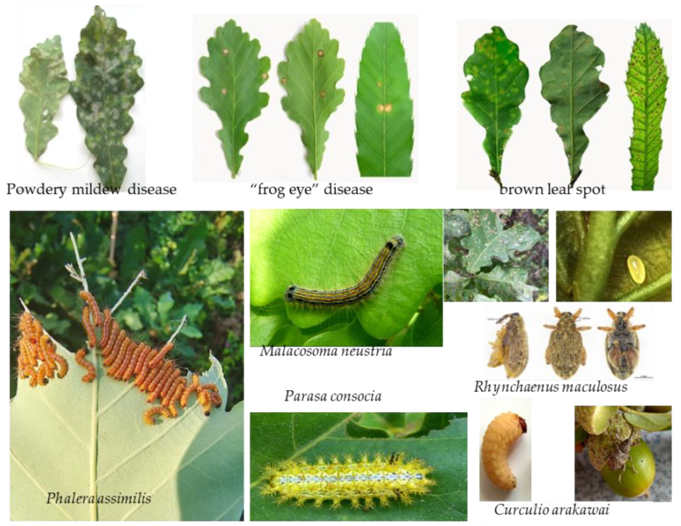 Biology 12 00076 g003 Biology 12 00076 g003