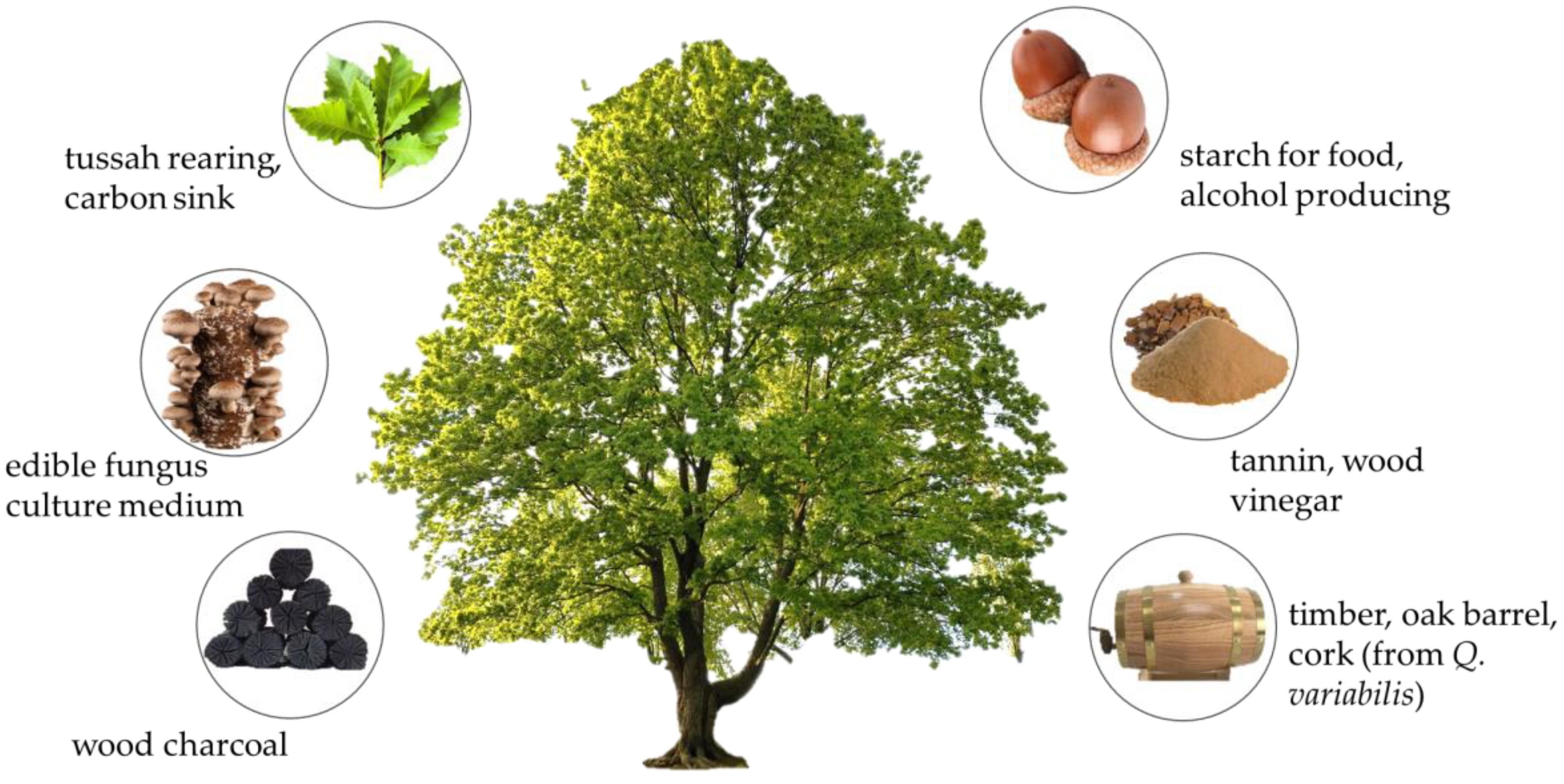 Biology 12 00076 g004 Biology 12 00076 g004