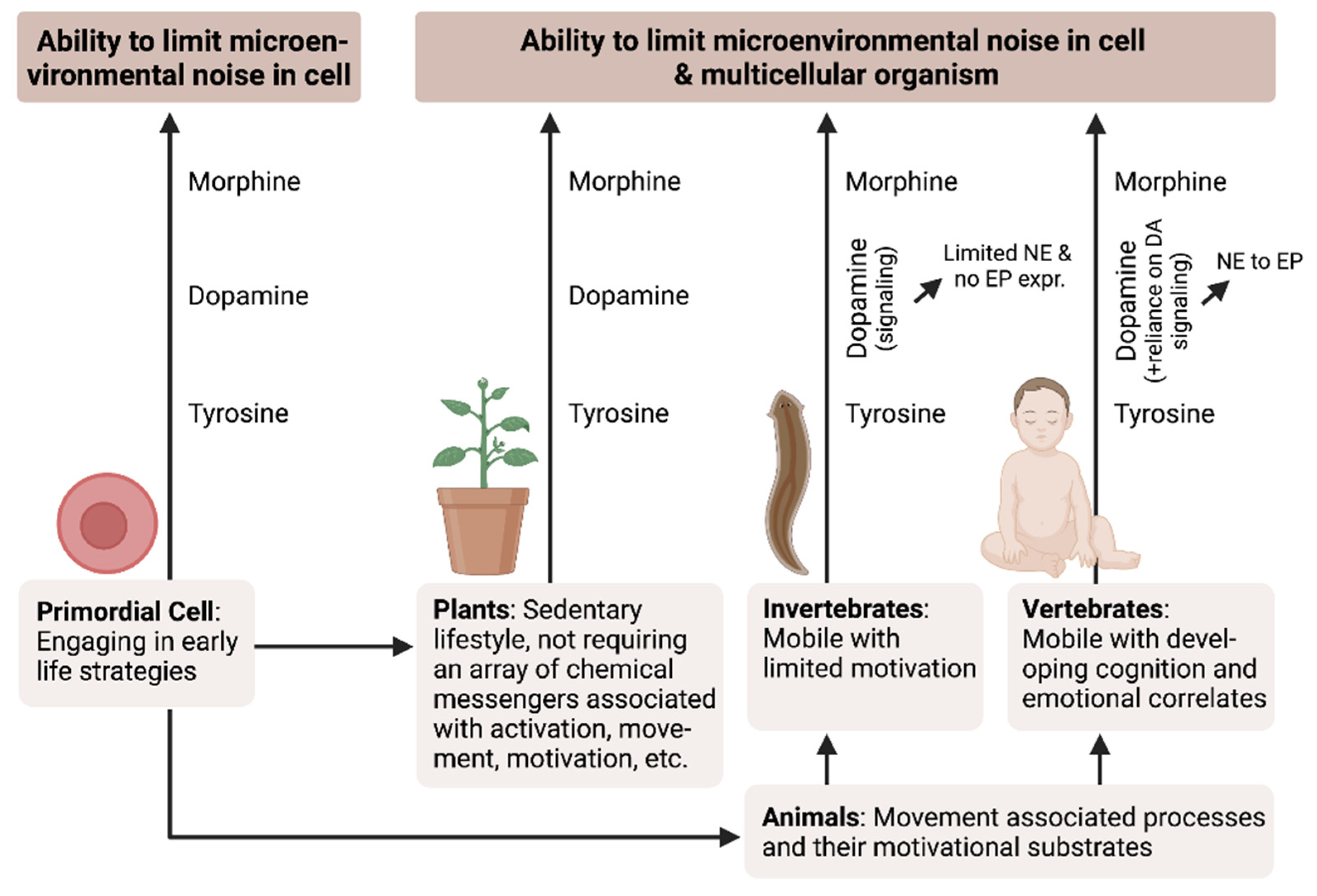 Biology | Free Full-Text | Mobility Coupled with Motivation Promotes Survival: The Evolution of Cognition as an Adaptive Strategy Biology | Free Full-Text | Mobility Coupled with Motivation Promotes Survival: The Evolution of Cognition as an Adaptive Strategy