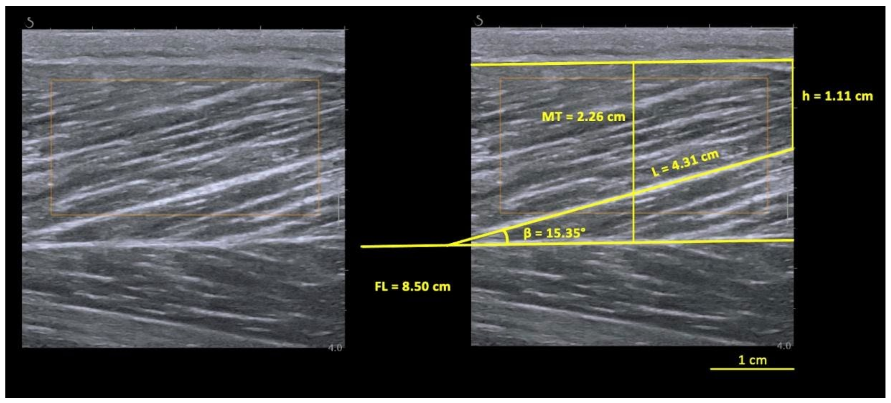 Biology 12 00096 g001 Biology 12 00096 g001