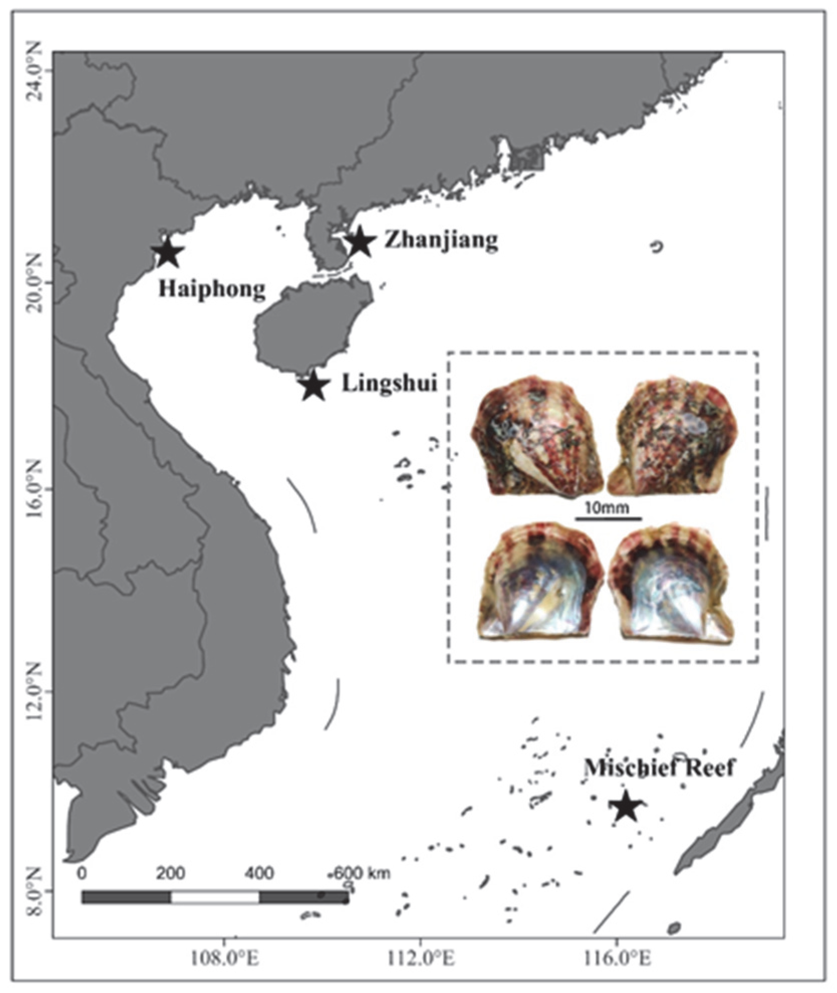 Biology 12 00097 g001