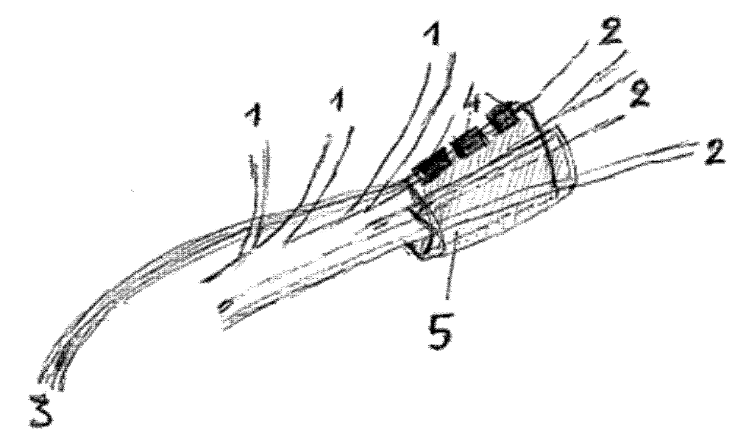 Biology 12 00098 g001 Biology 12 00098 g001
