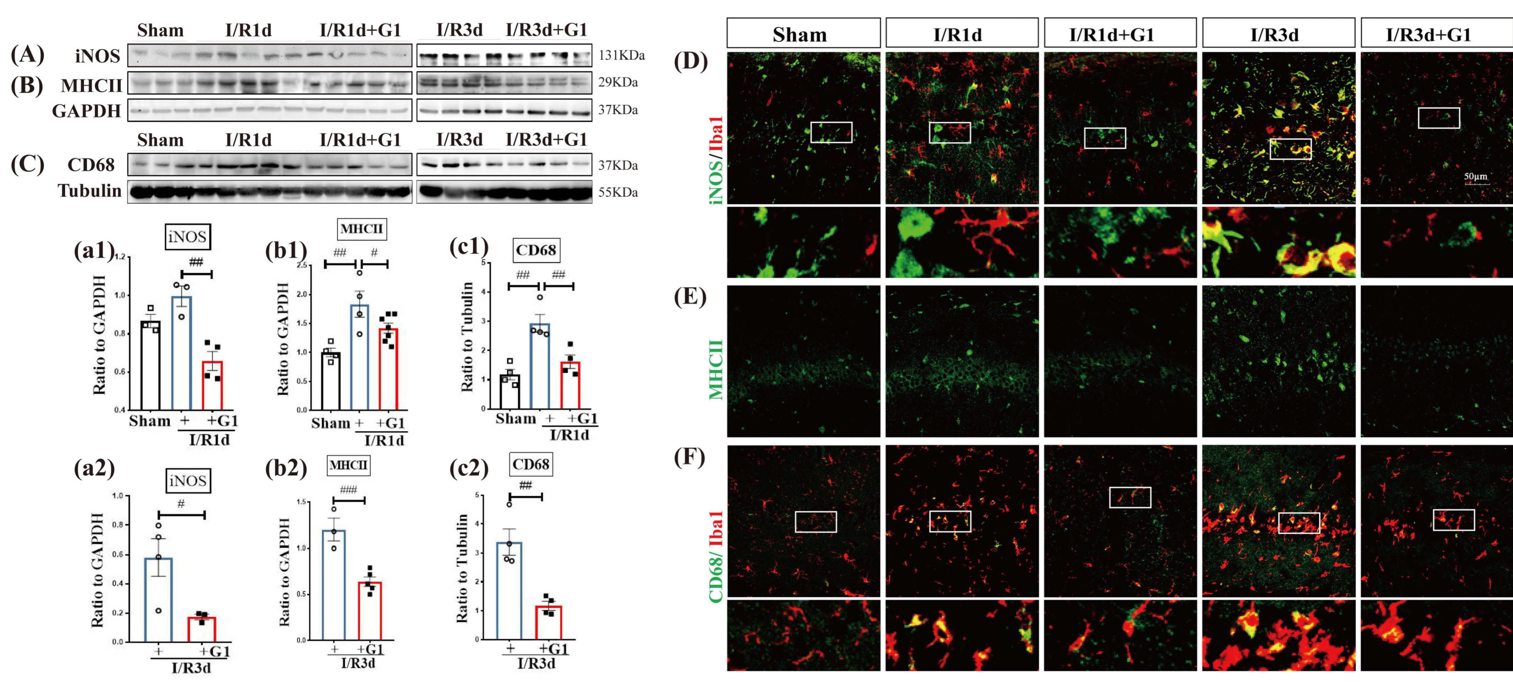 Biology 12 00099 g001