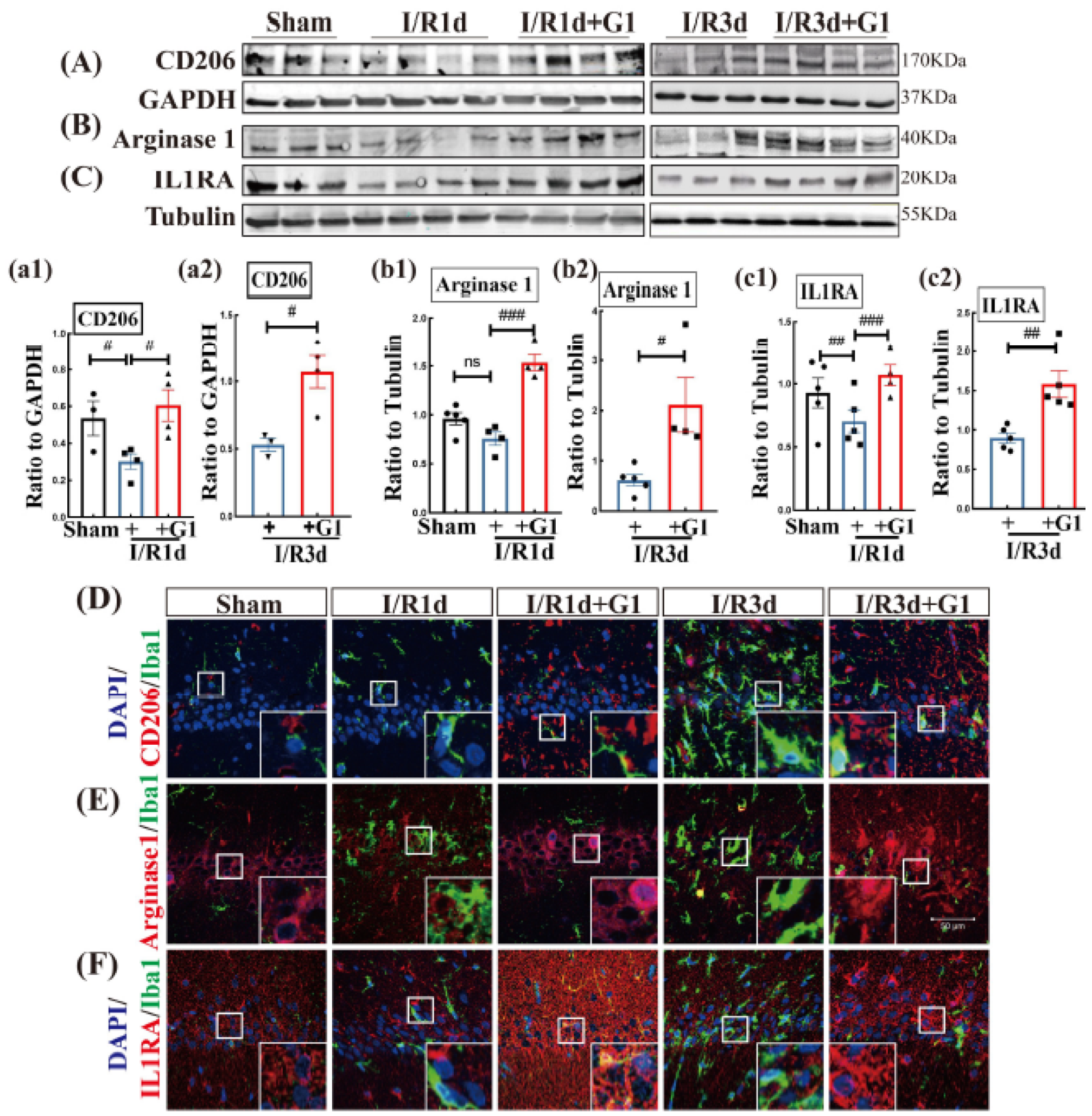 Biology 12 00099 g002