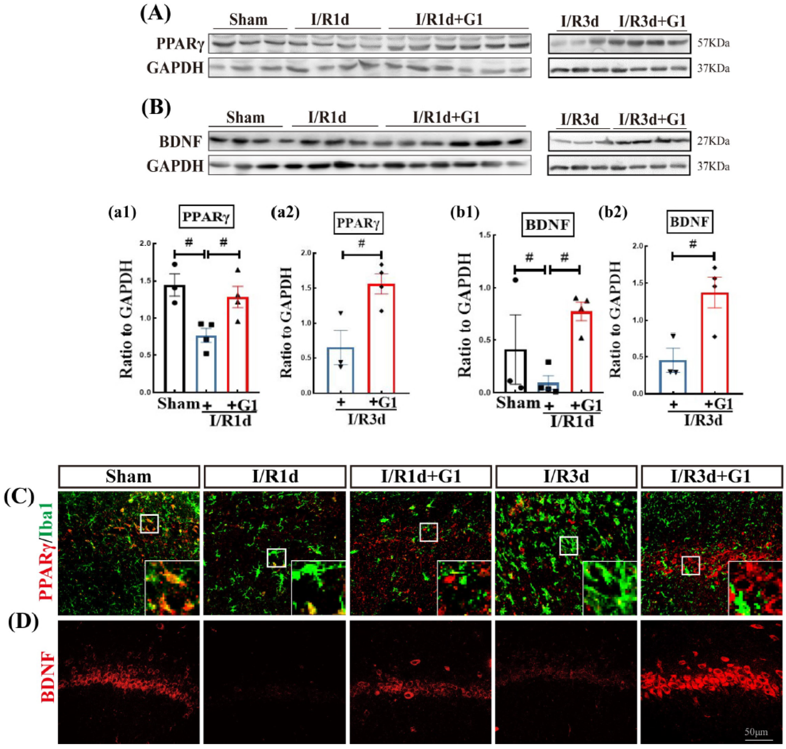 Biology 12 00099 g003