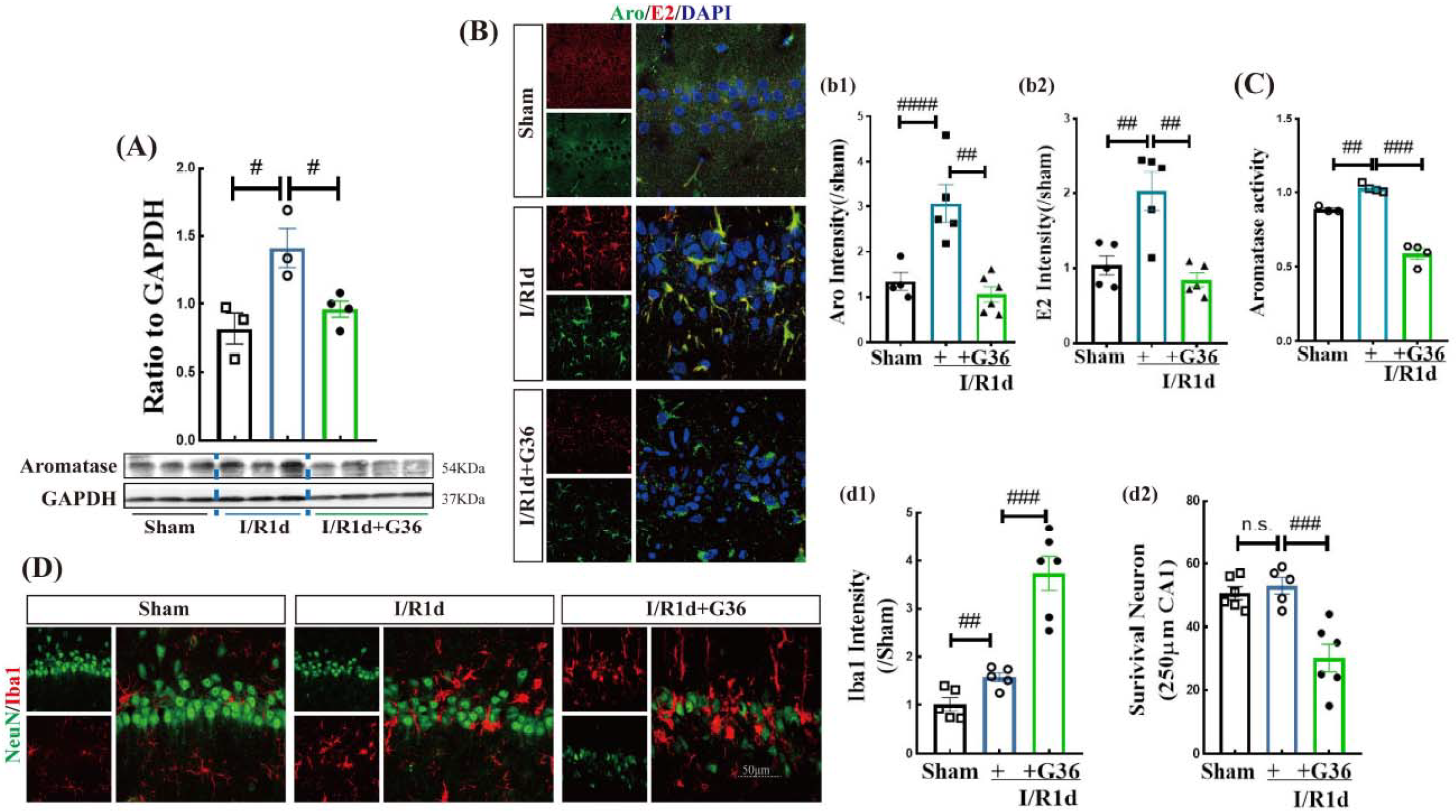 Biology 12 00099 g004