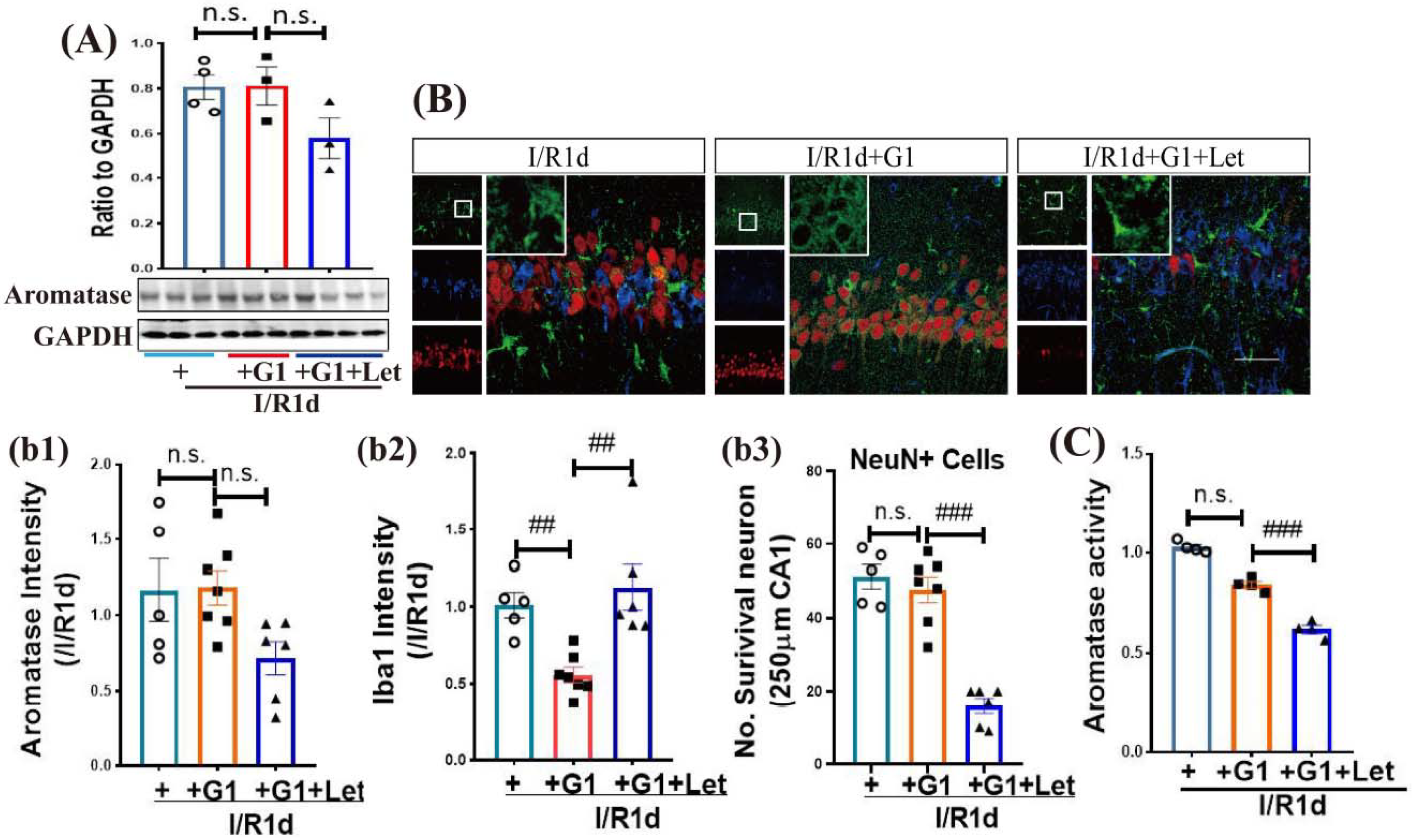 Biology 12 00099 g005