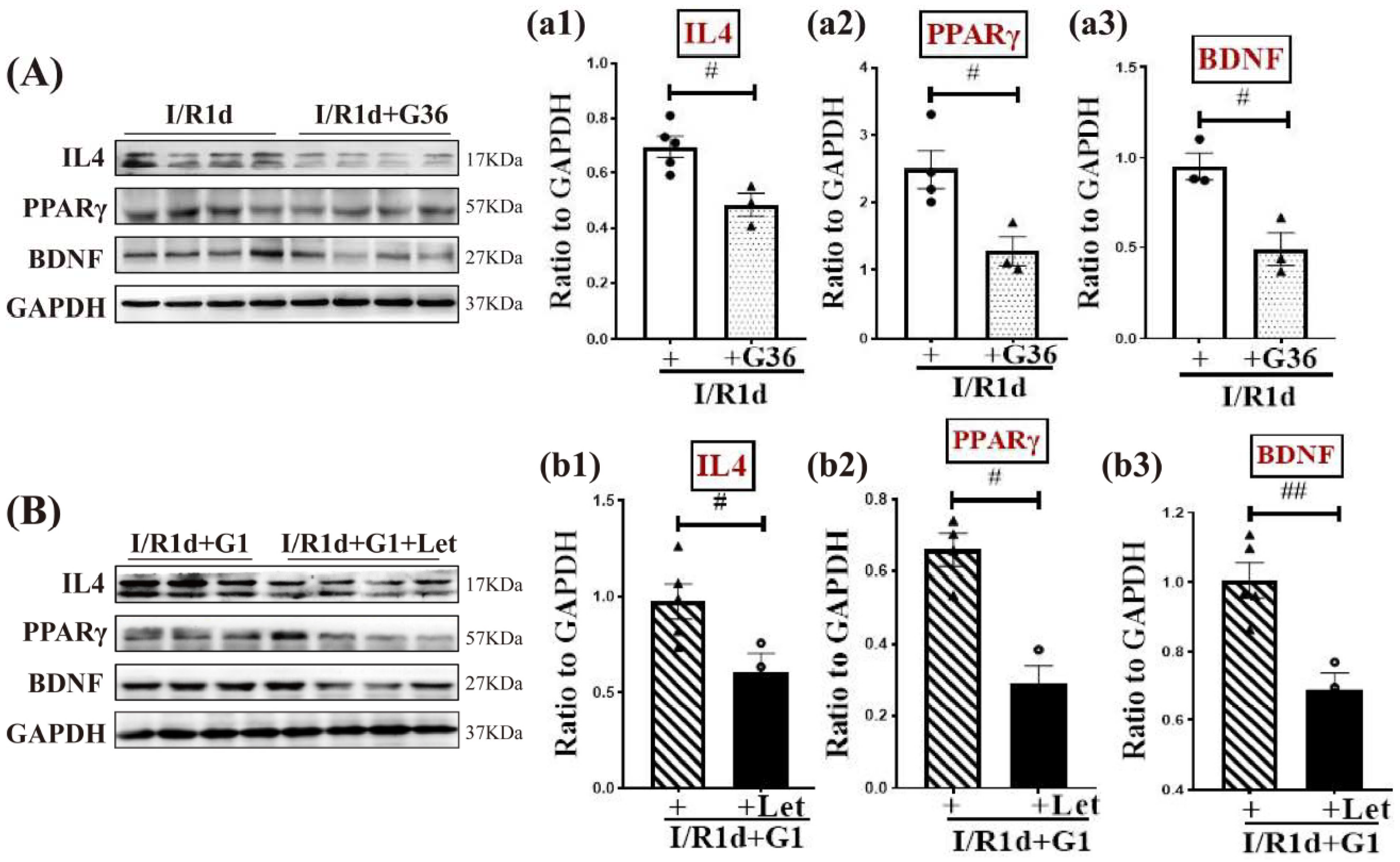 Biology 12 00099 g006
