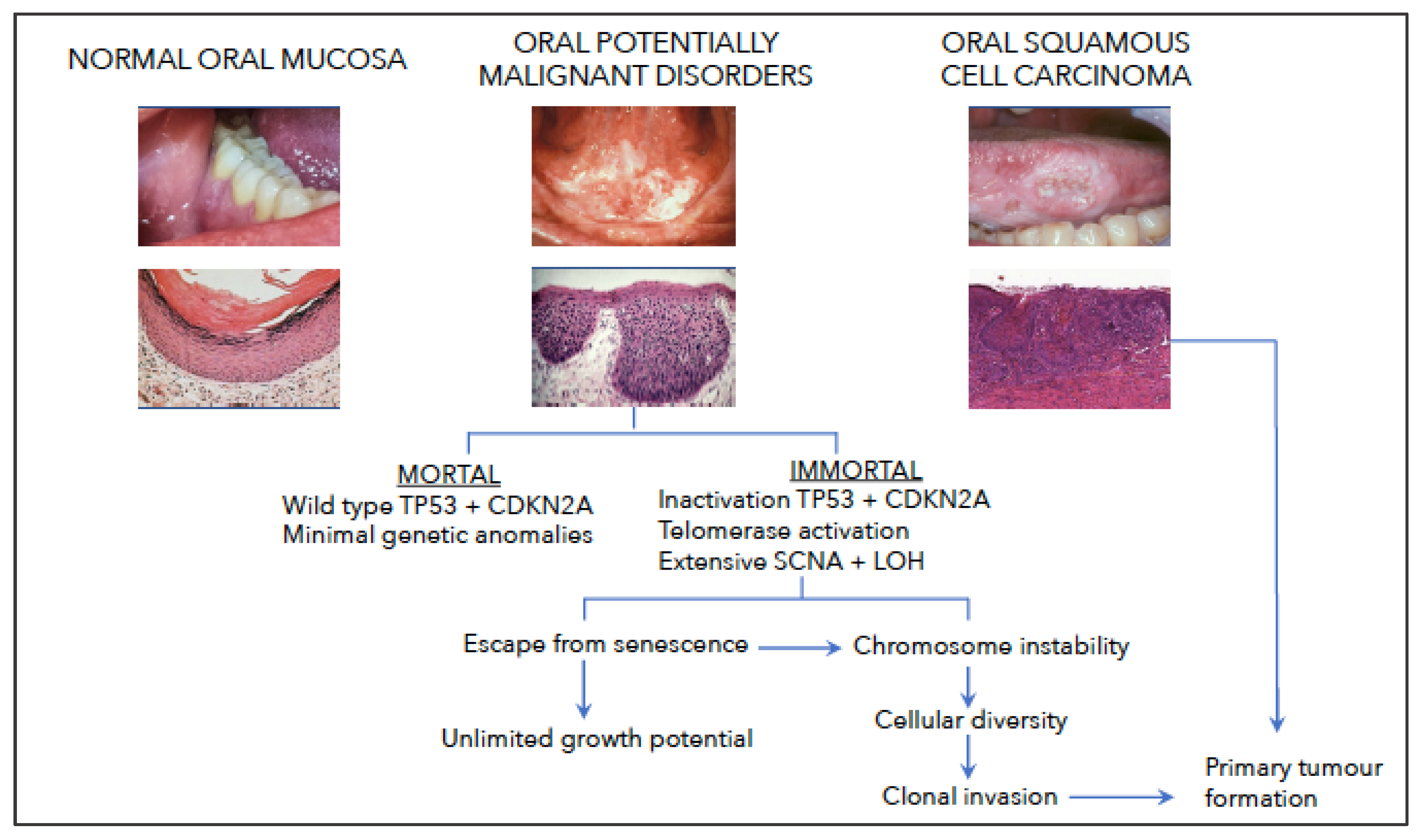 Biology 12 00103 g002