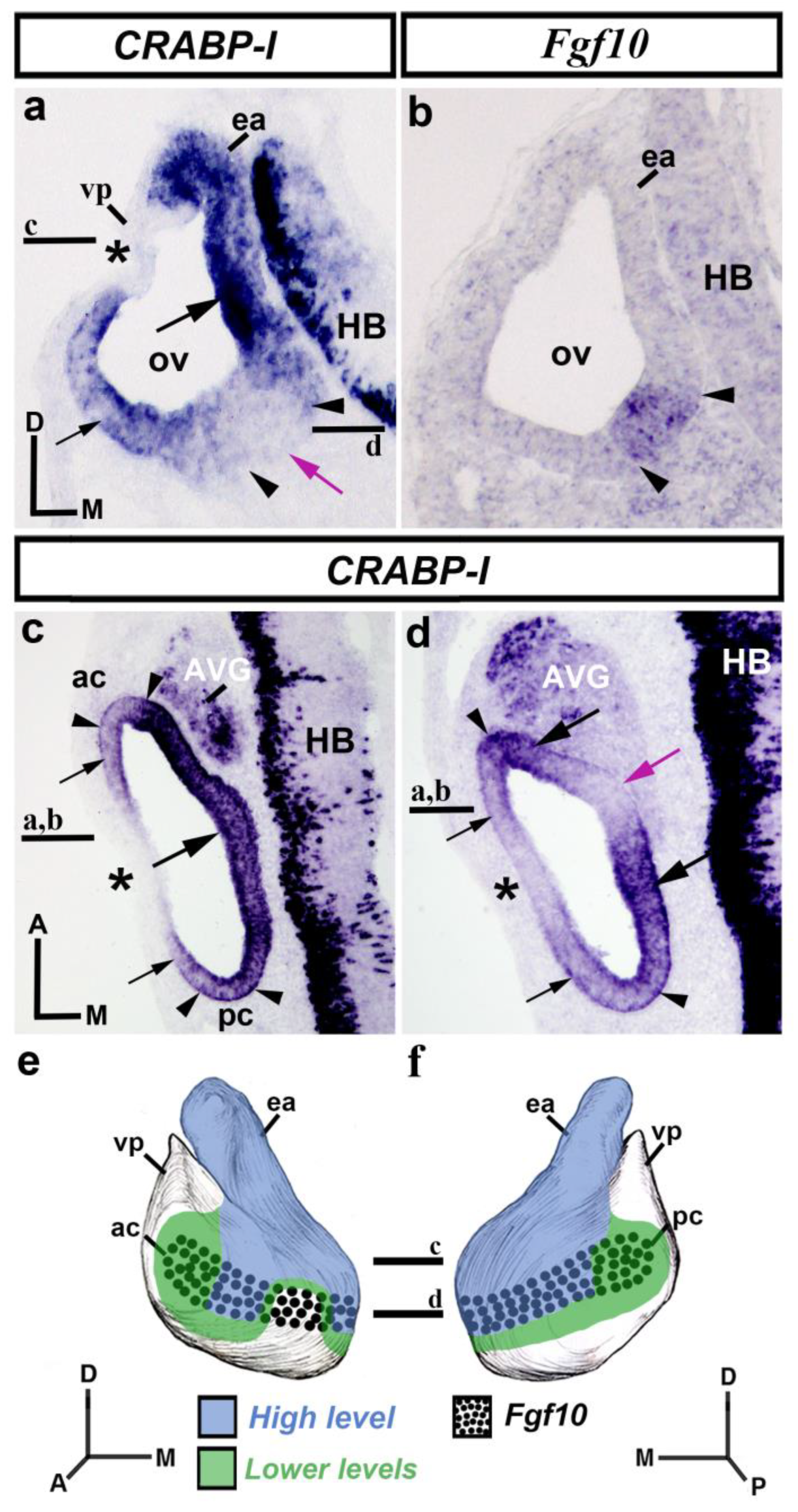 Biology 12 00104 g001