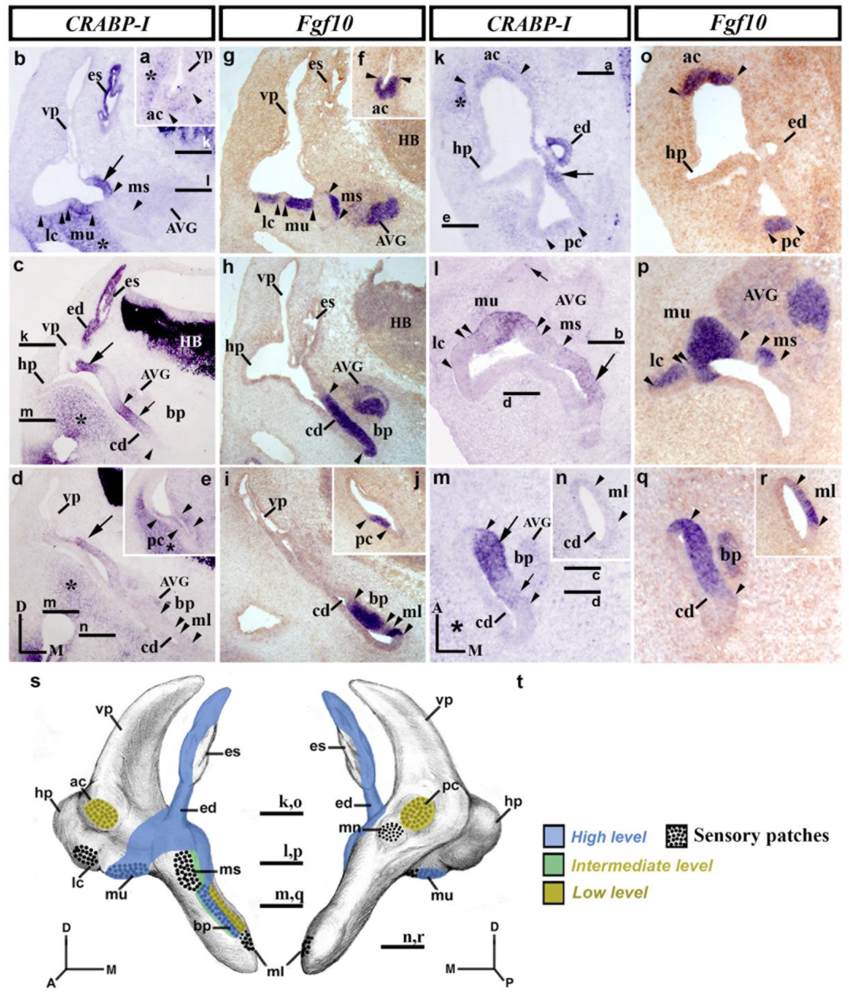 Biology 12 00104 g003