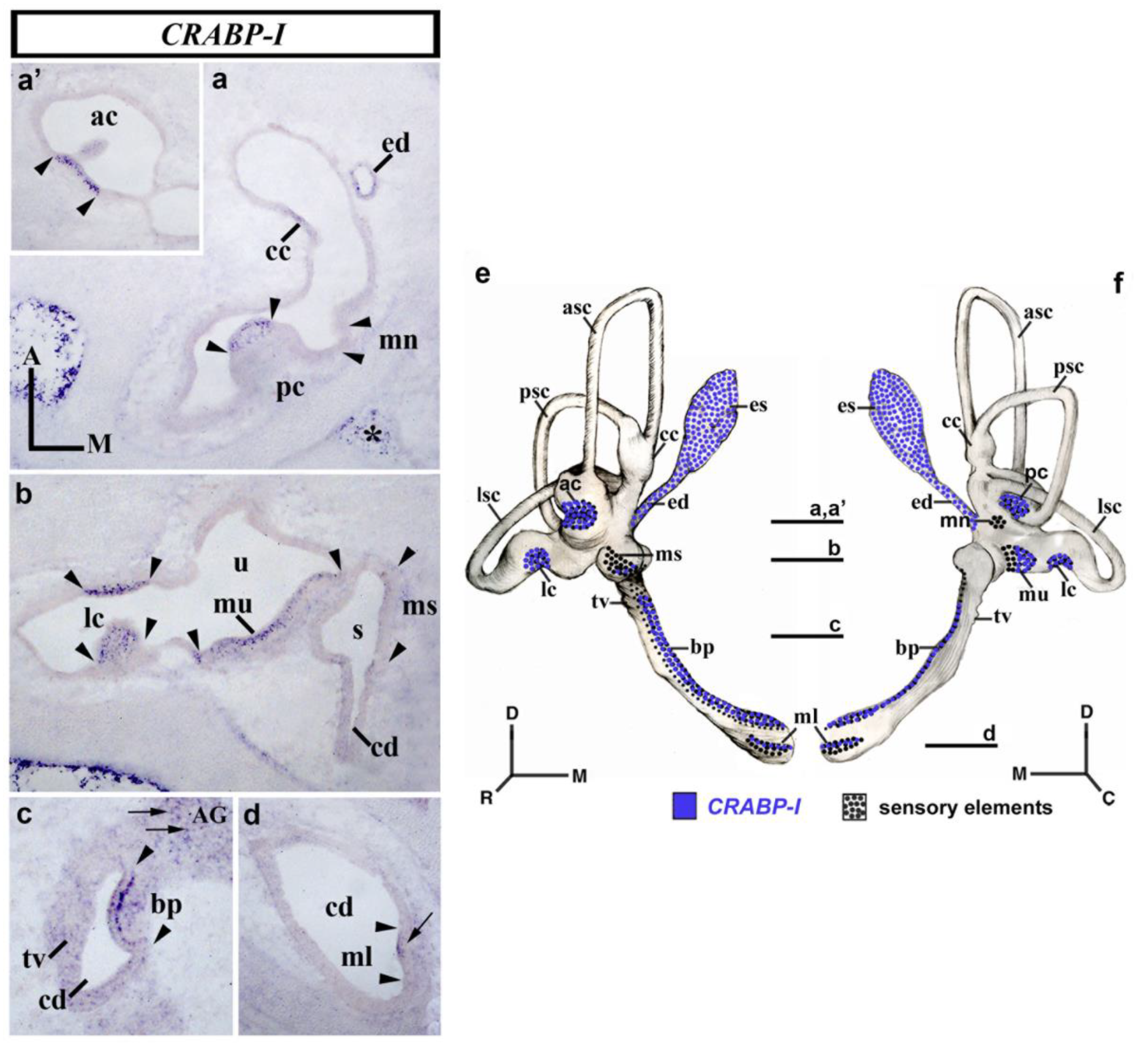 Biology 12 00104 g004