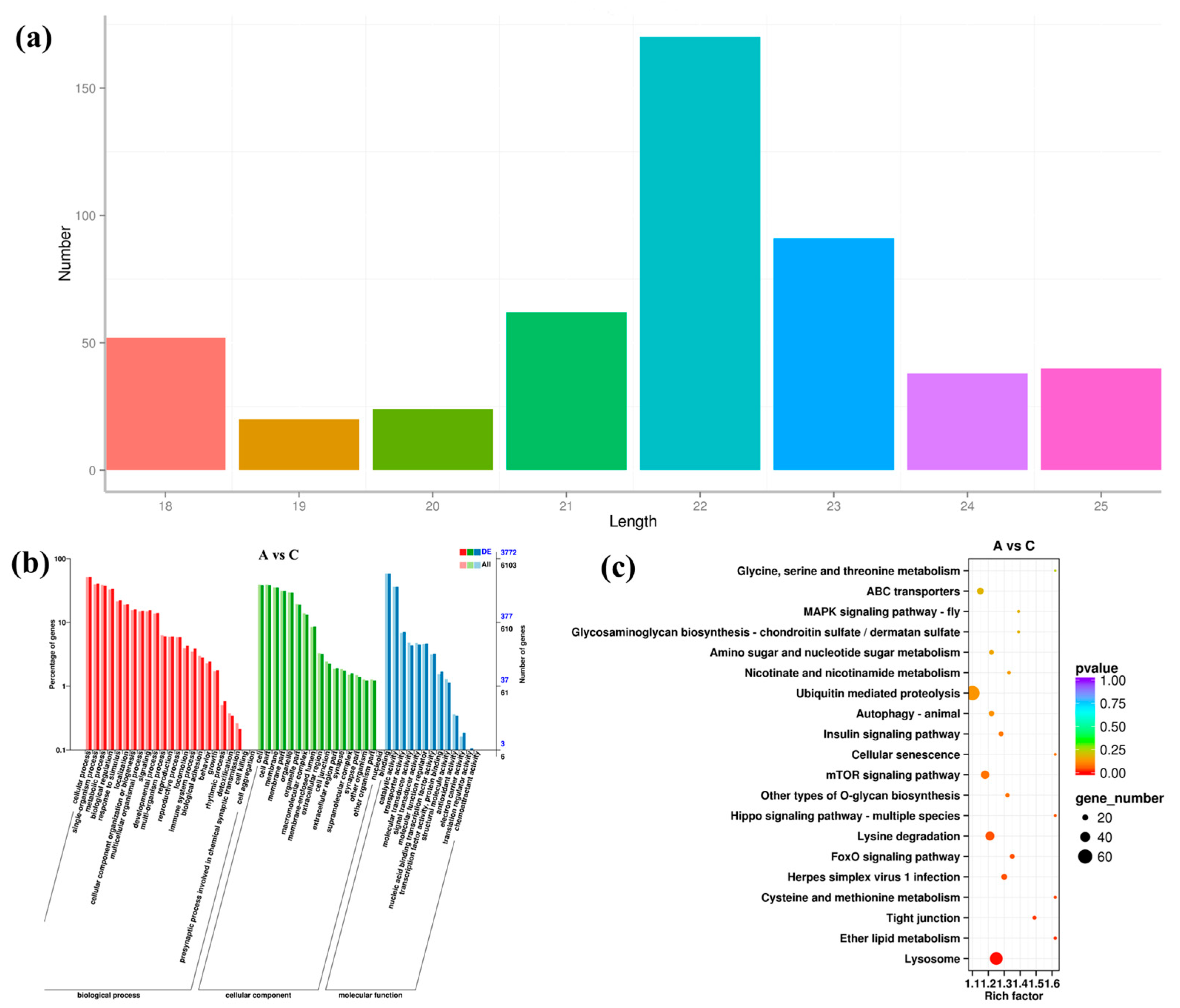 Biology 12 00106 g004 Biology 12 00106 g004