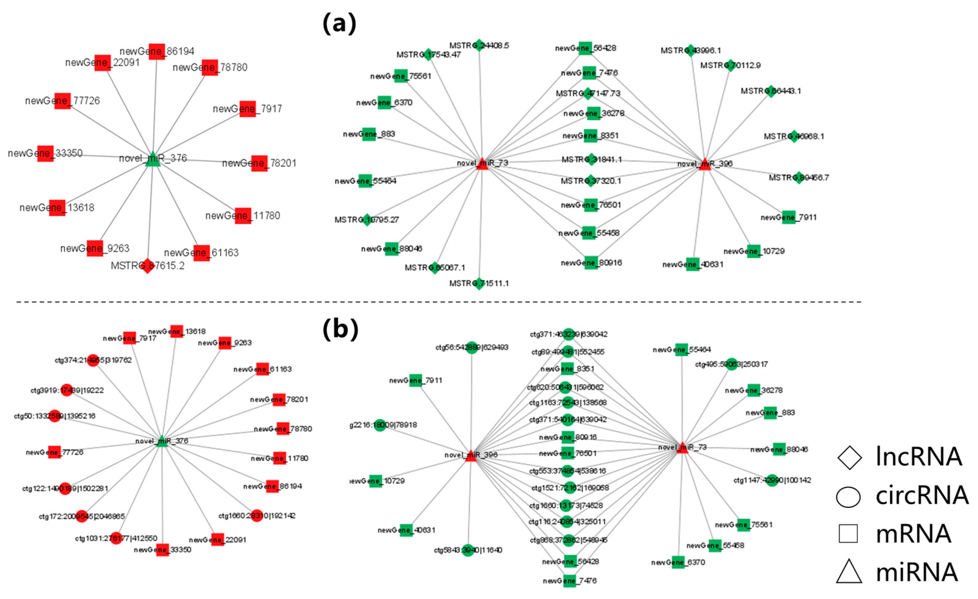 Biology 12 00106 g005 Biology 12 00106 g005