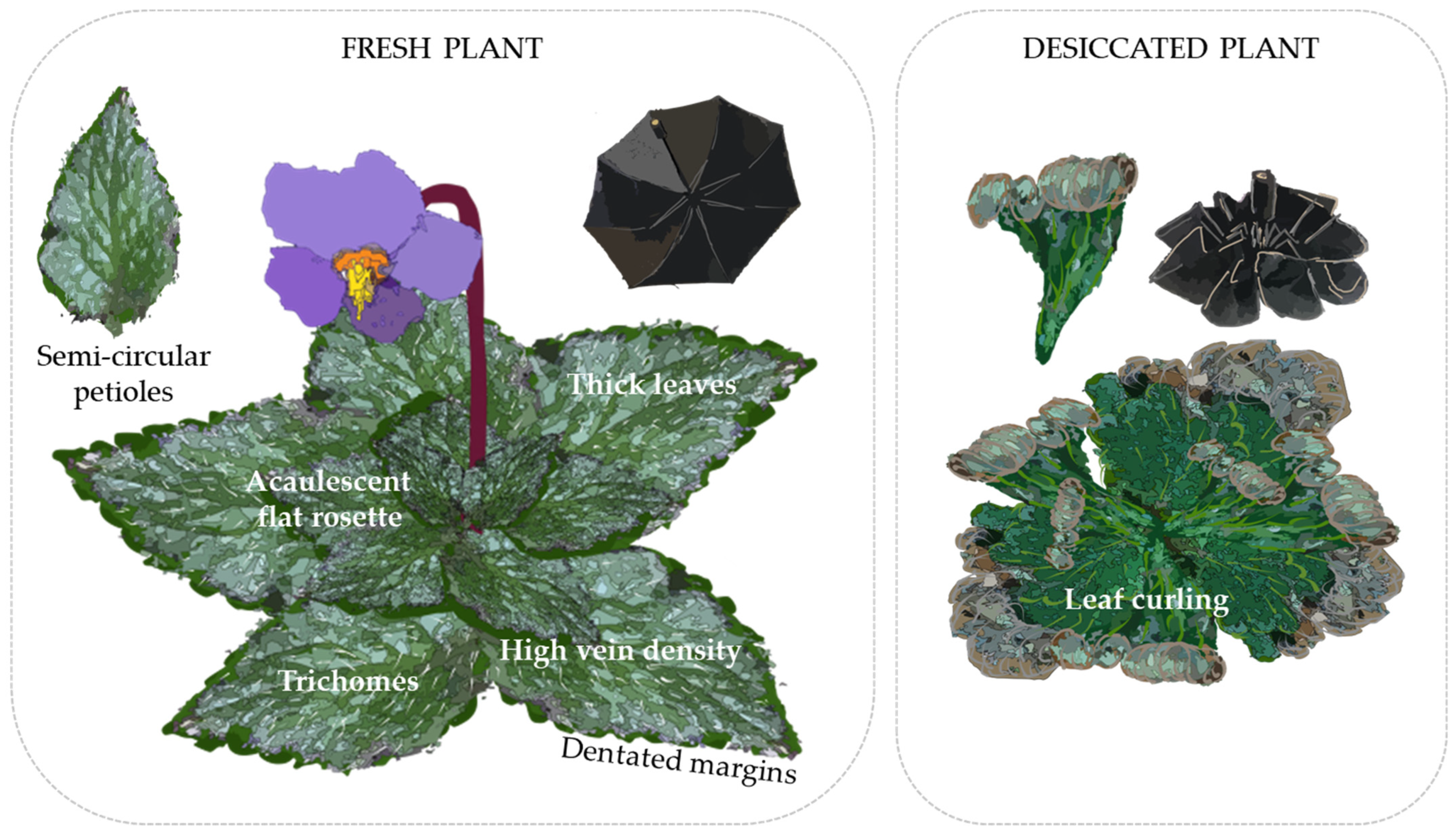 Biology 12 00107 g004