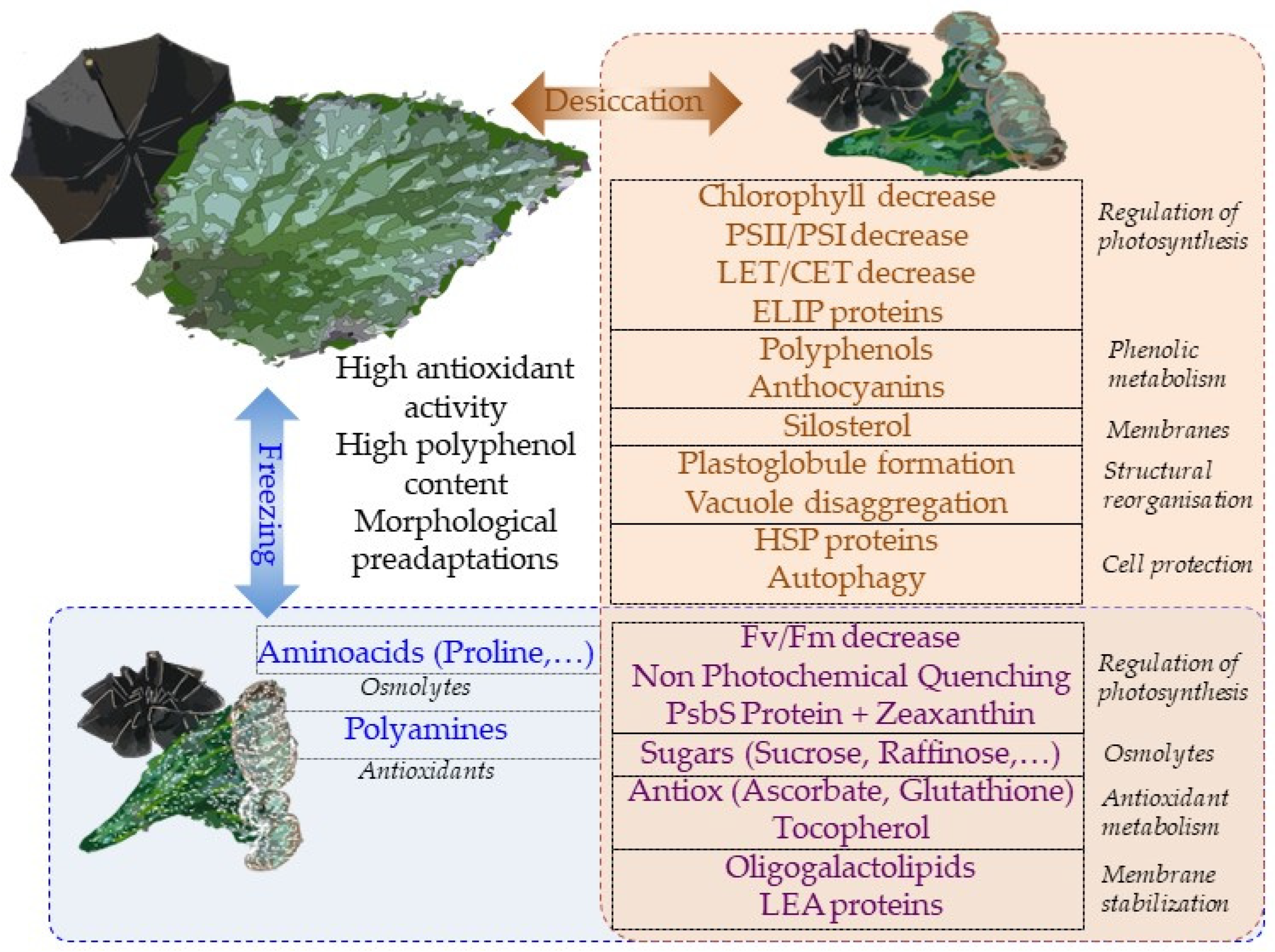Biology 12 00107 g005