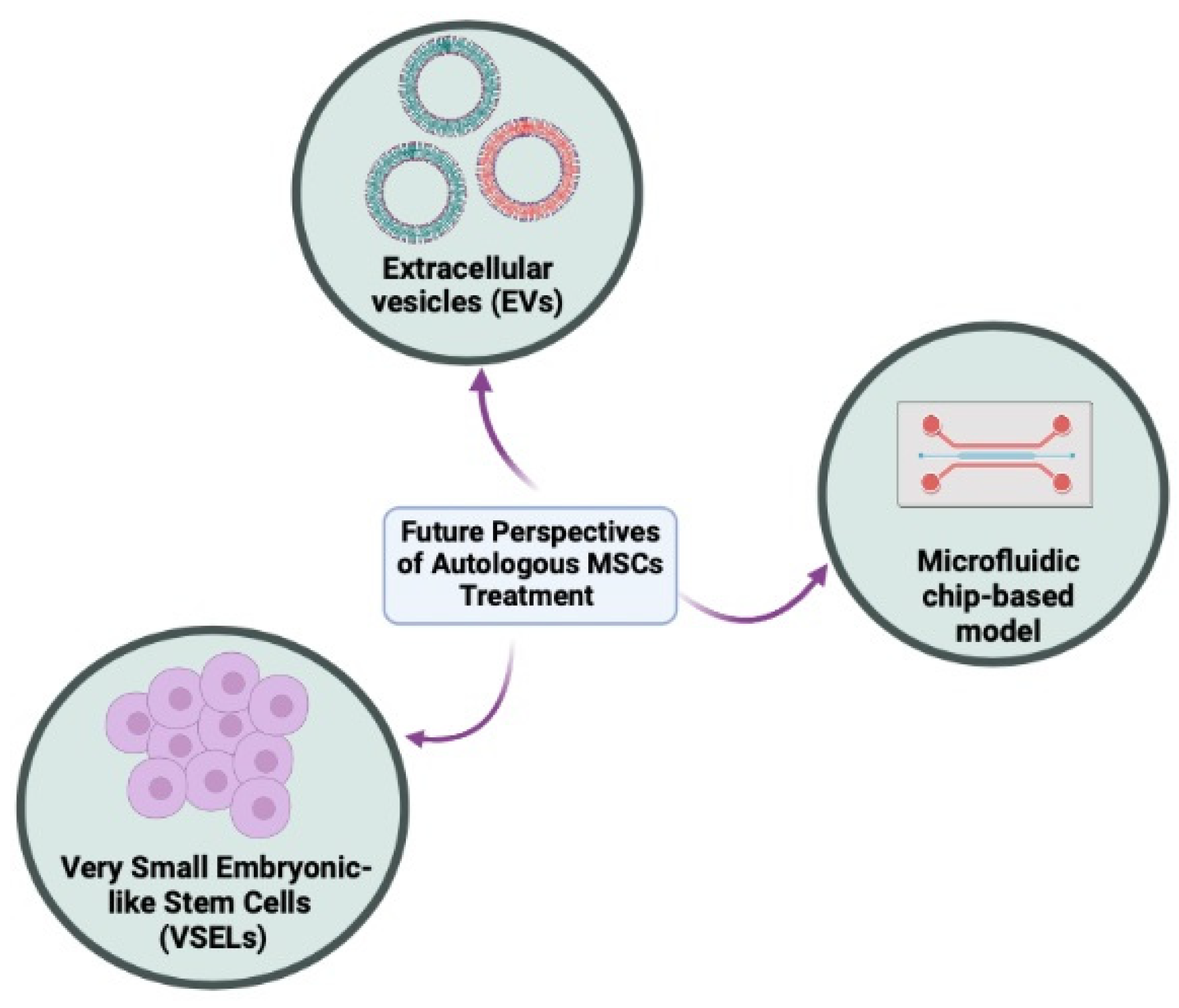 Biology 12 00108 g002