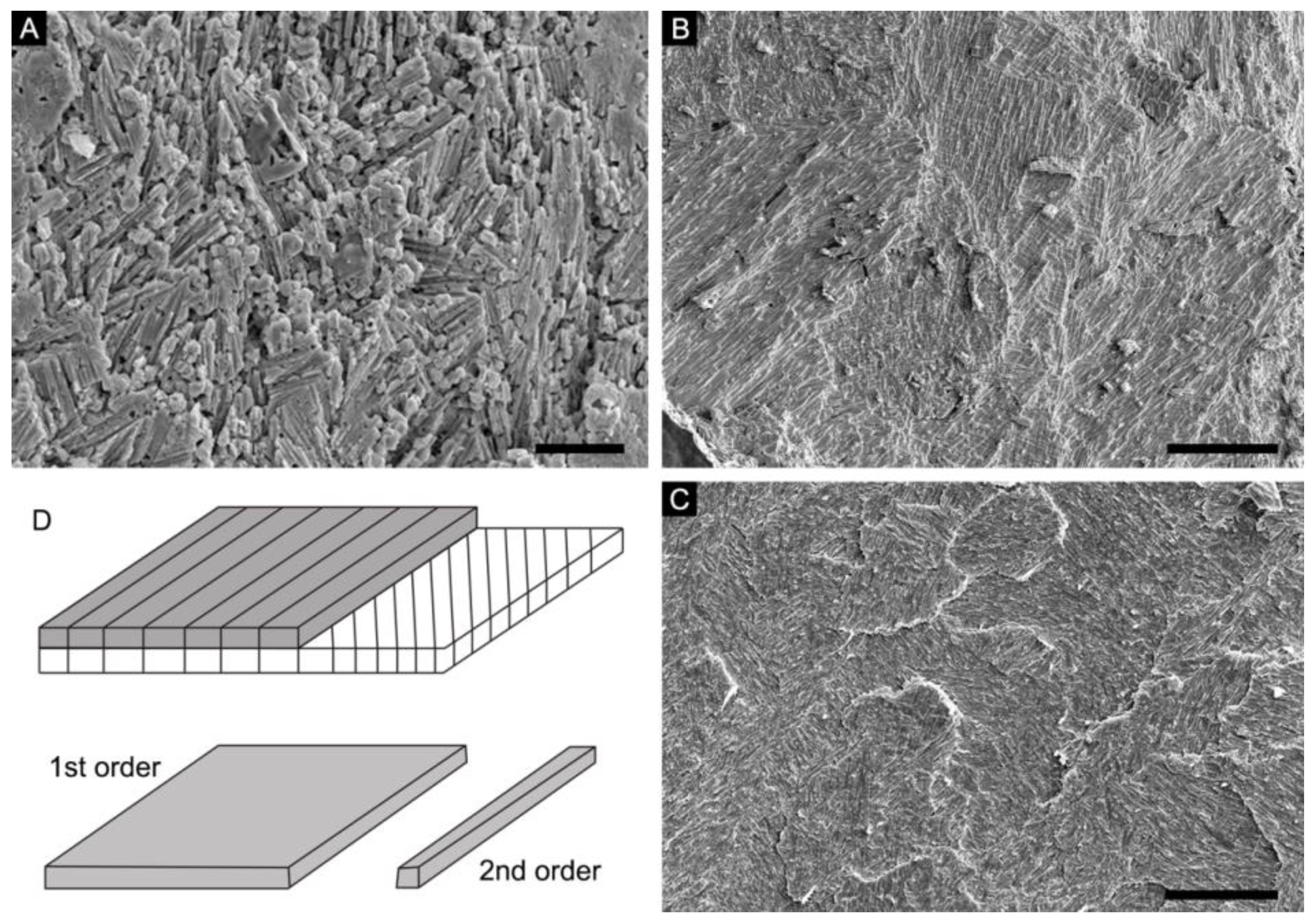 Biology 12 00113 g001 Biology 12 00113 g001