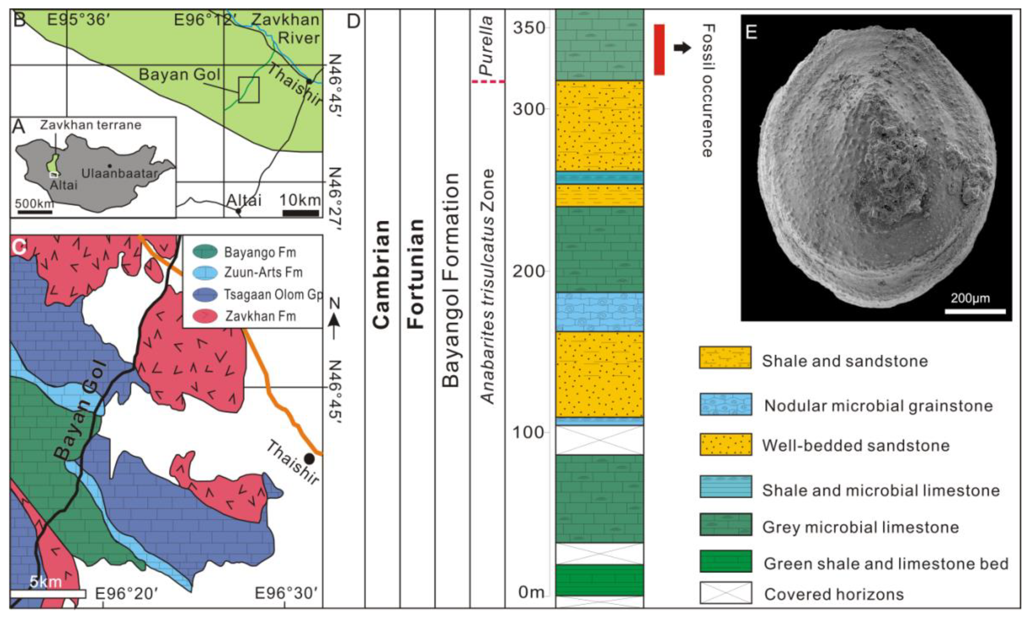Biology 12 00113 g002 Biology 12 00113 g002