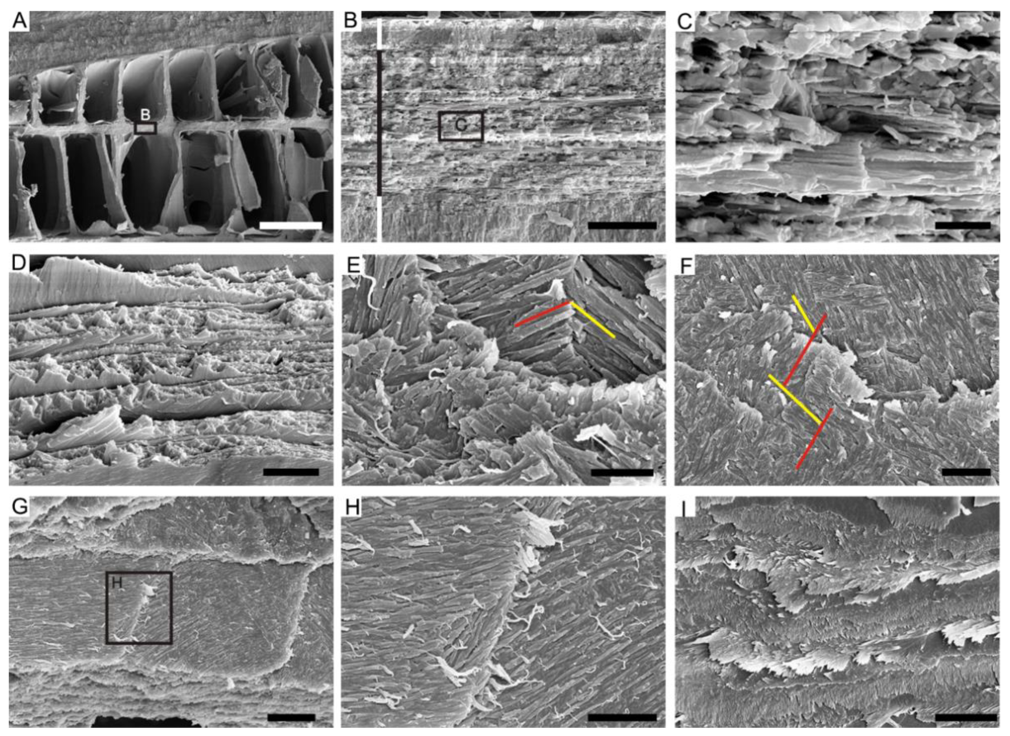 Biology 12 00113 g003 Biology 12 00113 g003