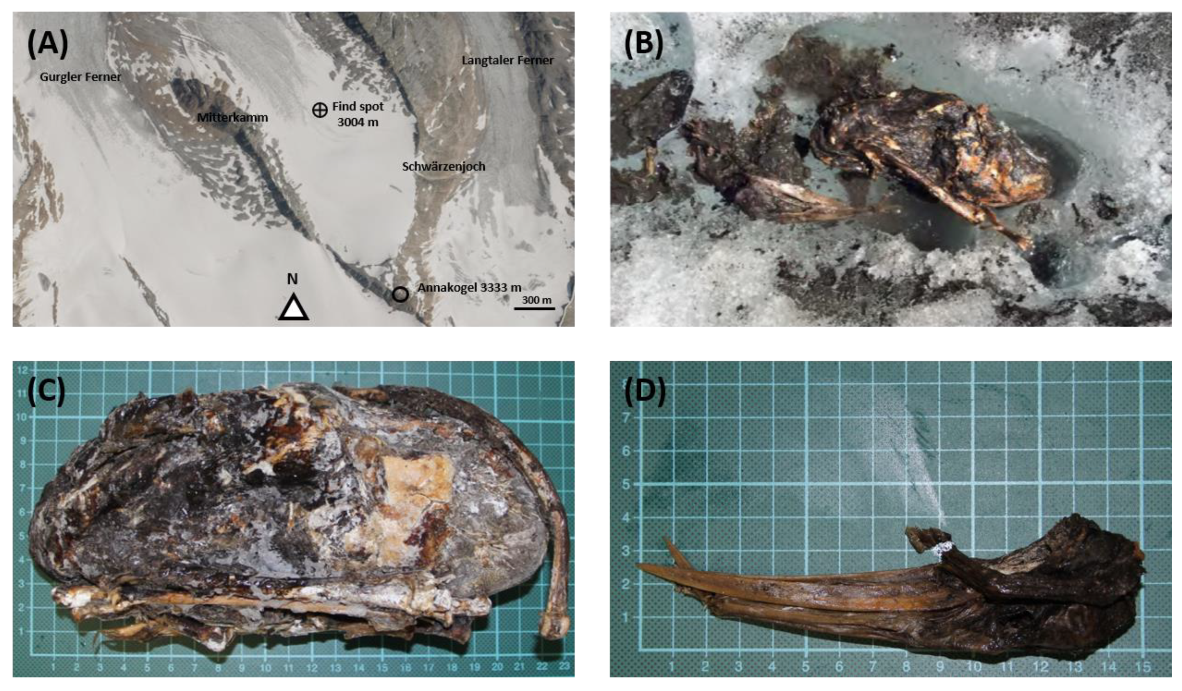 Biology 12 00114 g001