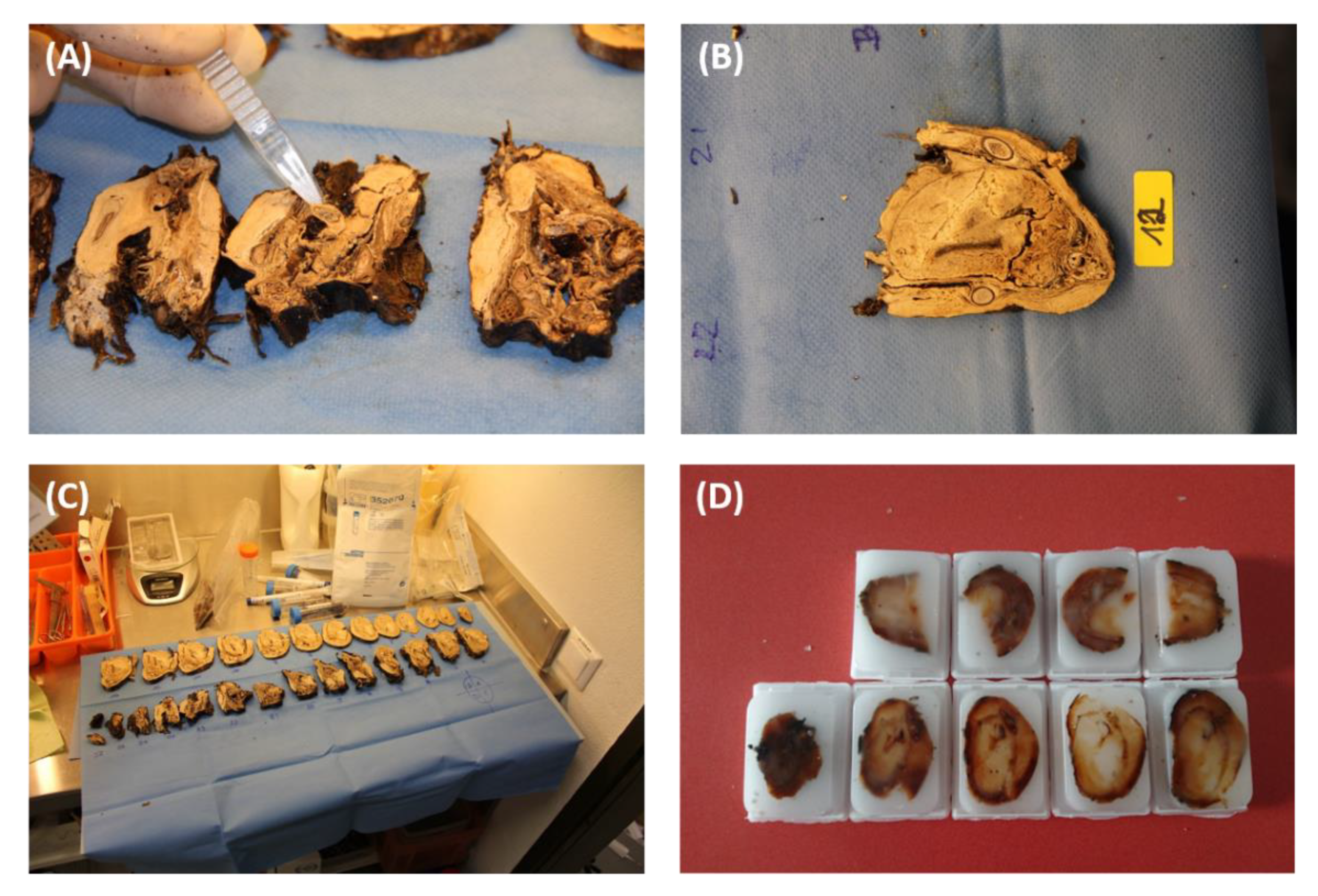 Biology 12 00114 g002