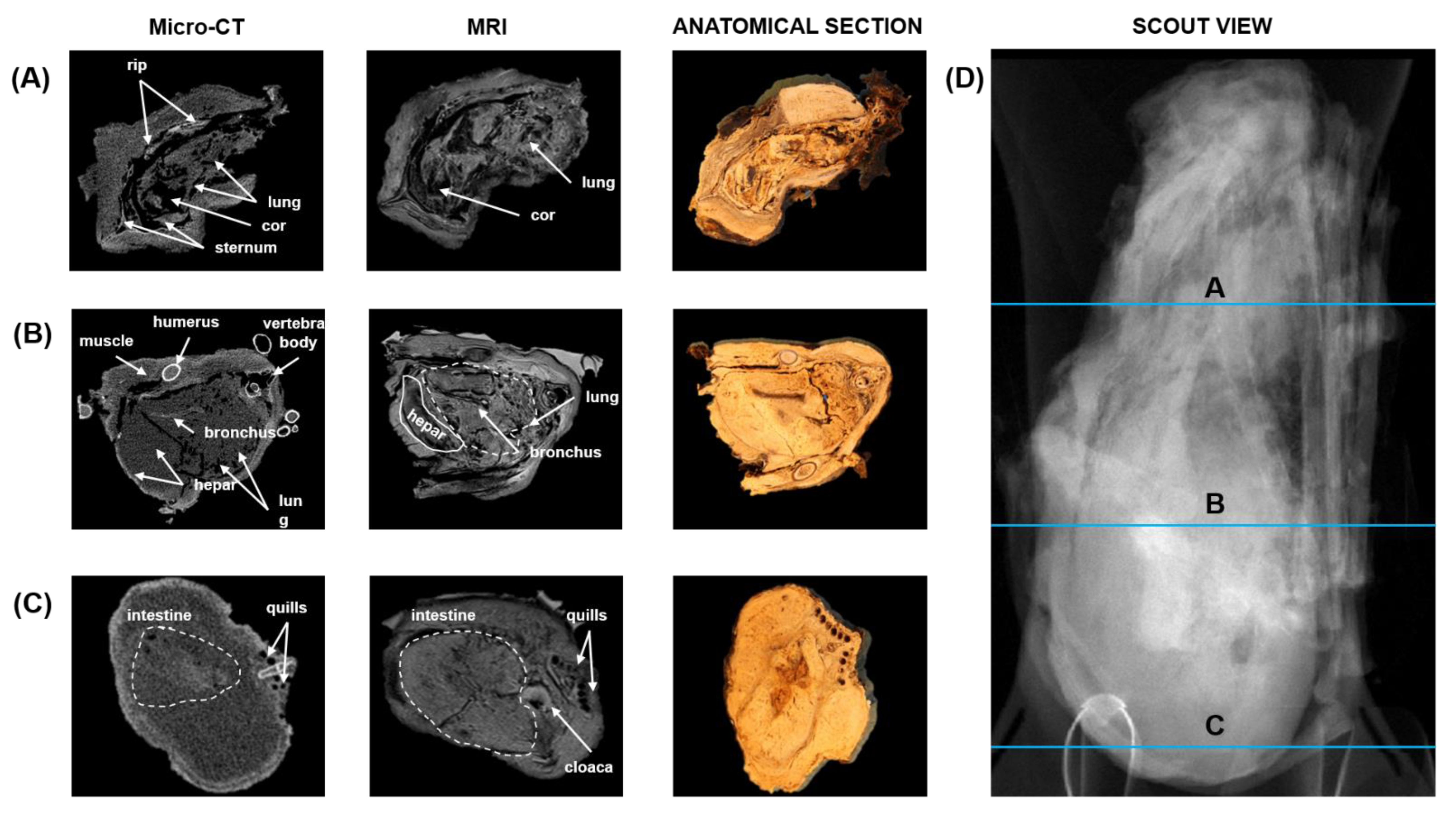 Biology 12 00114 g004