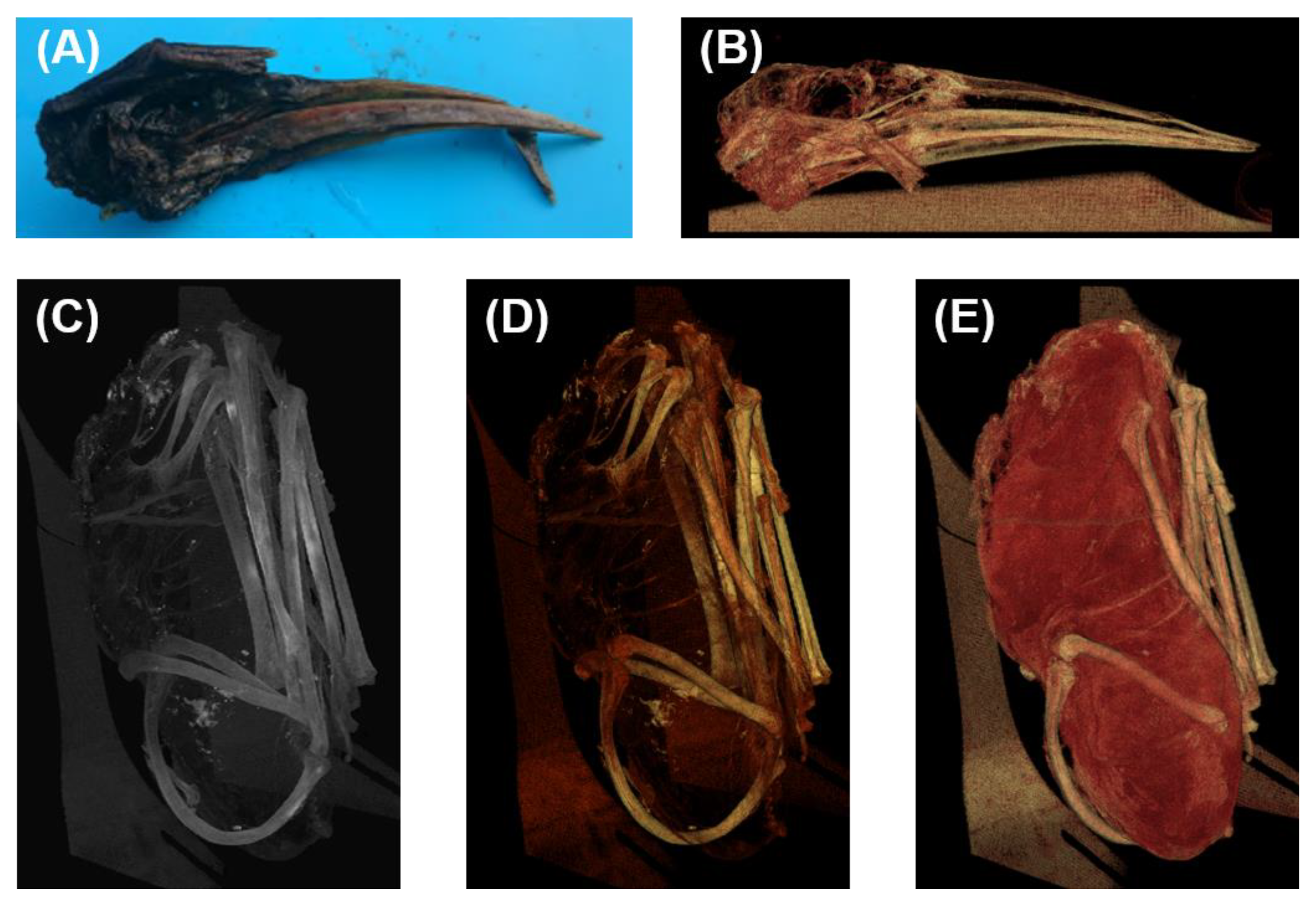 Biology 12 00114 g005