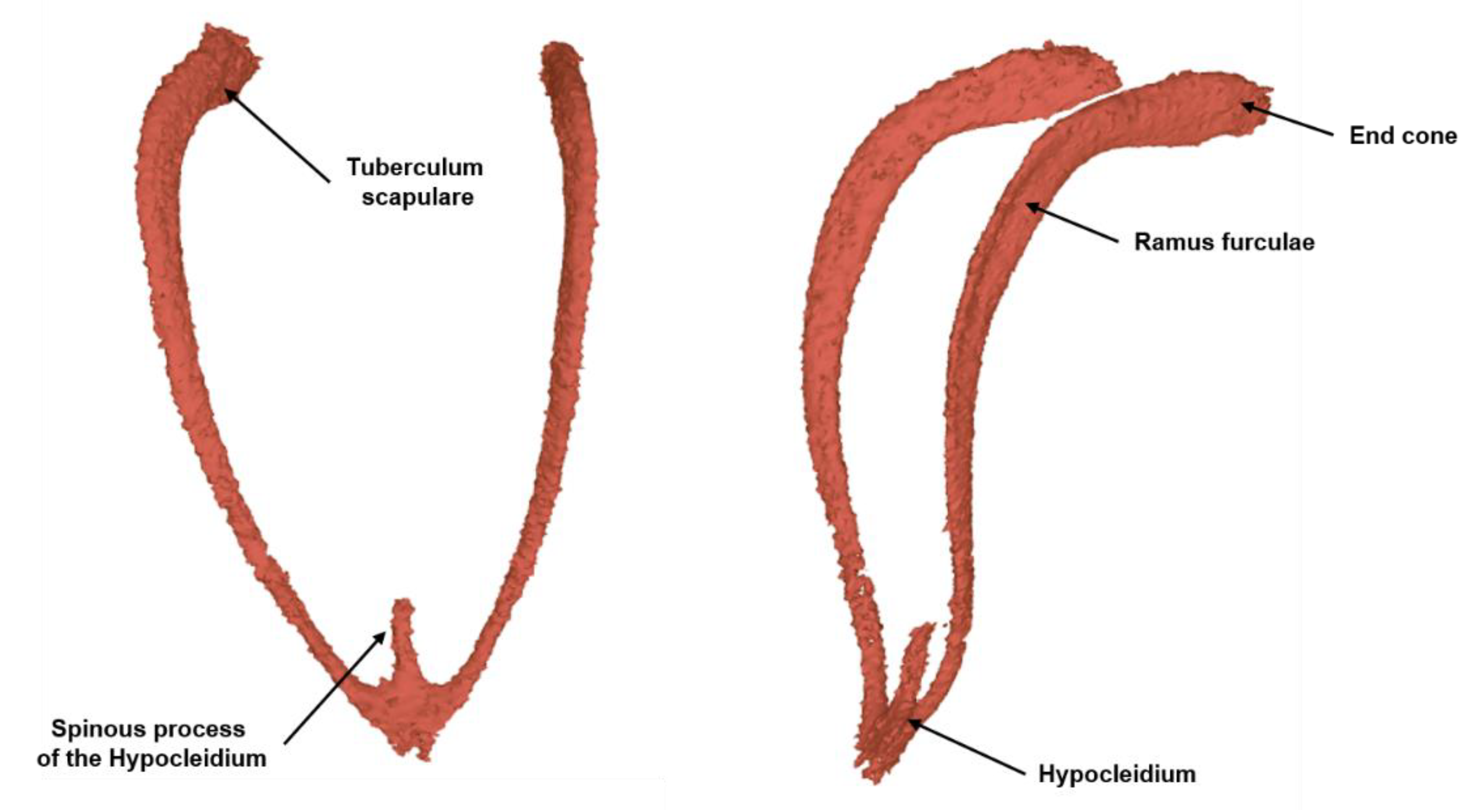 Biology 12 00114 g006
