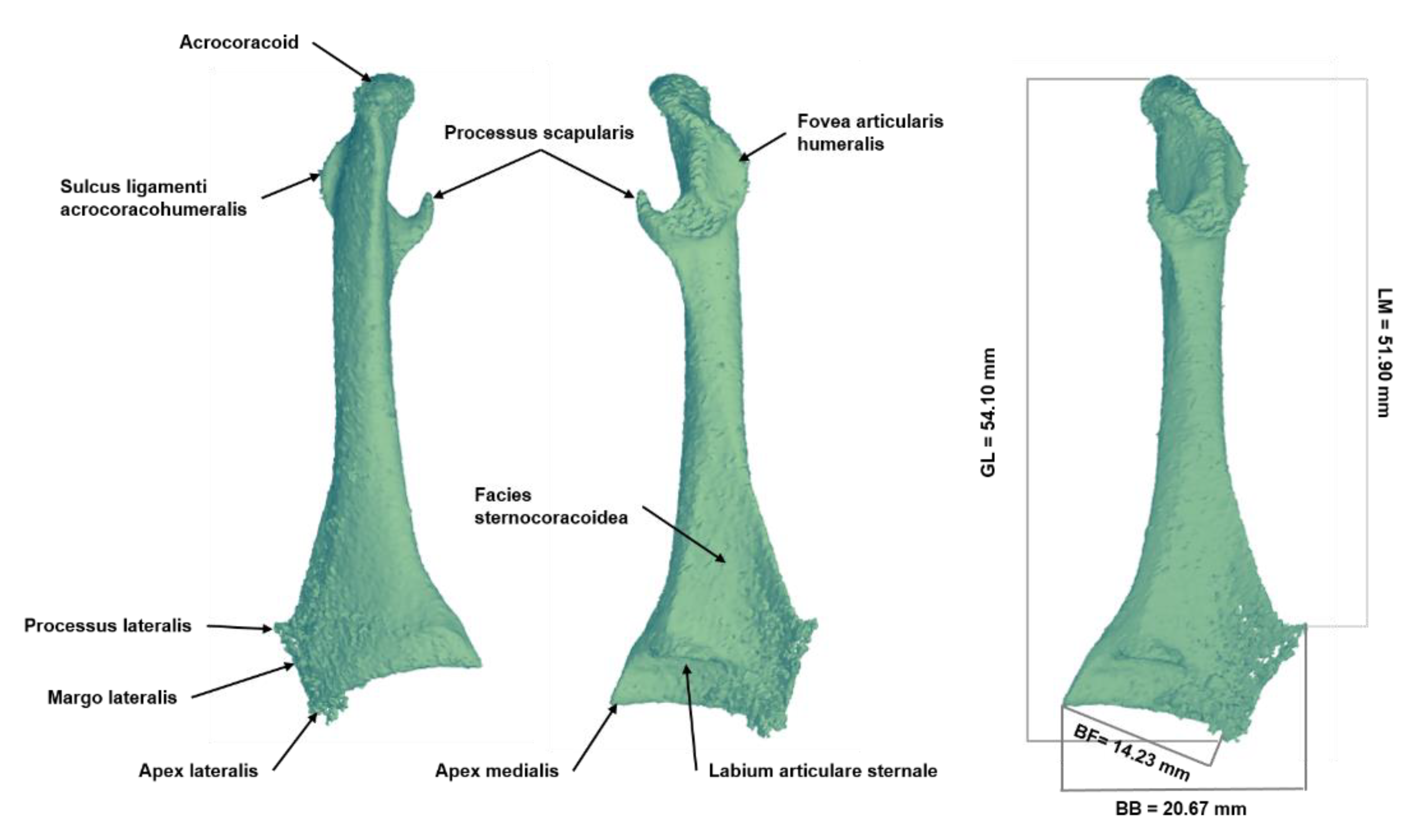 Biology 12 00114 g007