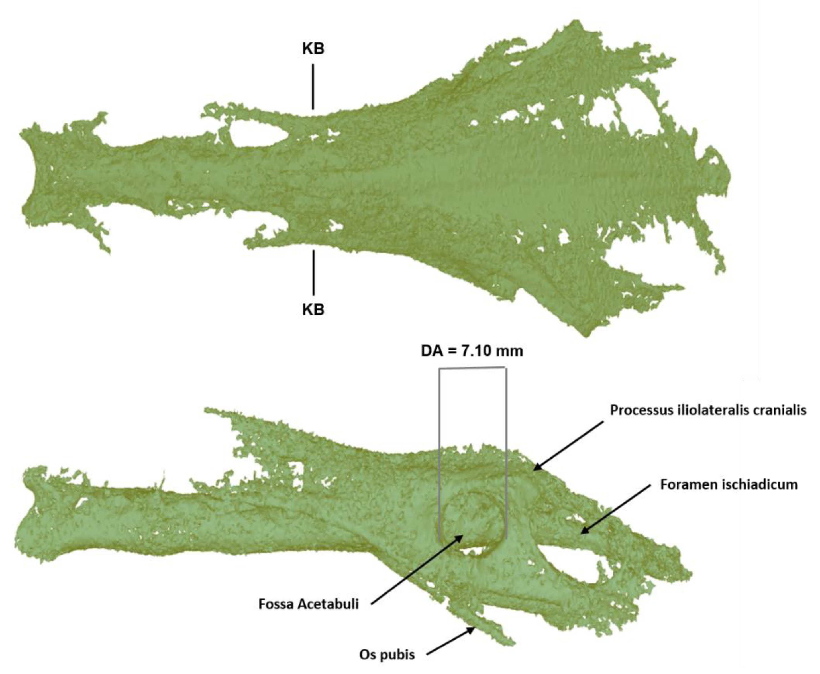 Biology 12 00114 g008