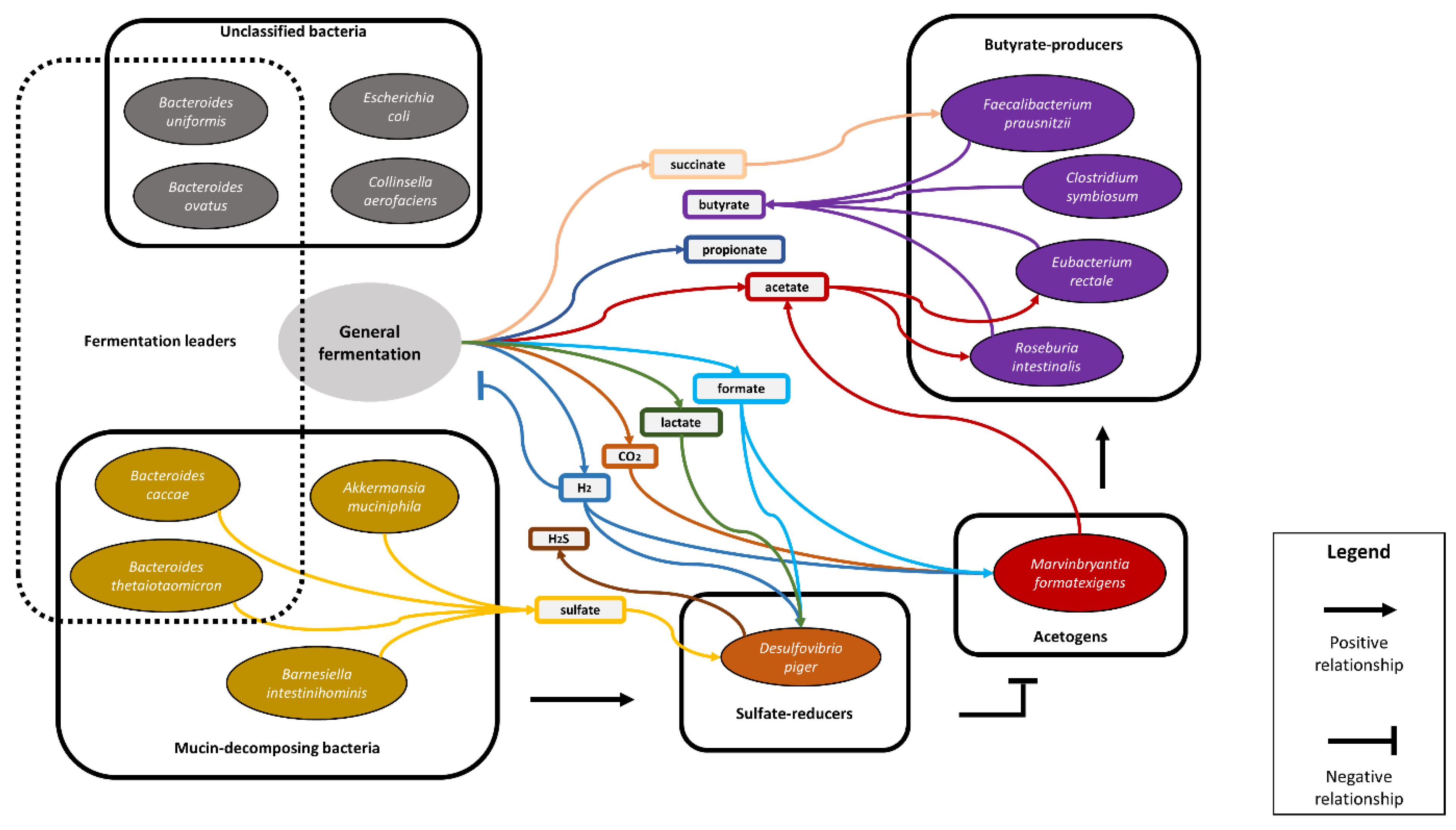 Biology 12 00115 g001 Biology 12 00115 g001