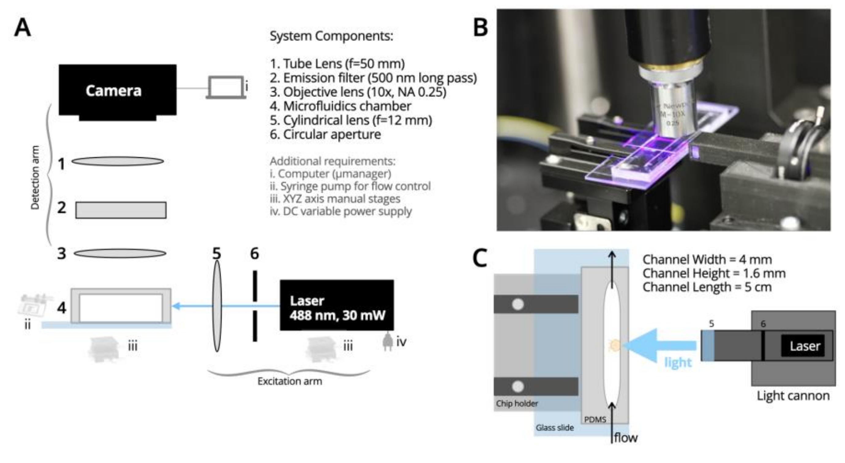 Biology 12 00116 g001 Biology 12 00116 g001