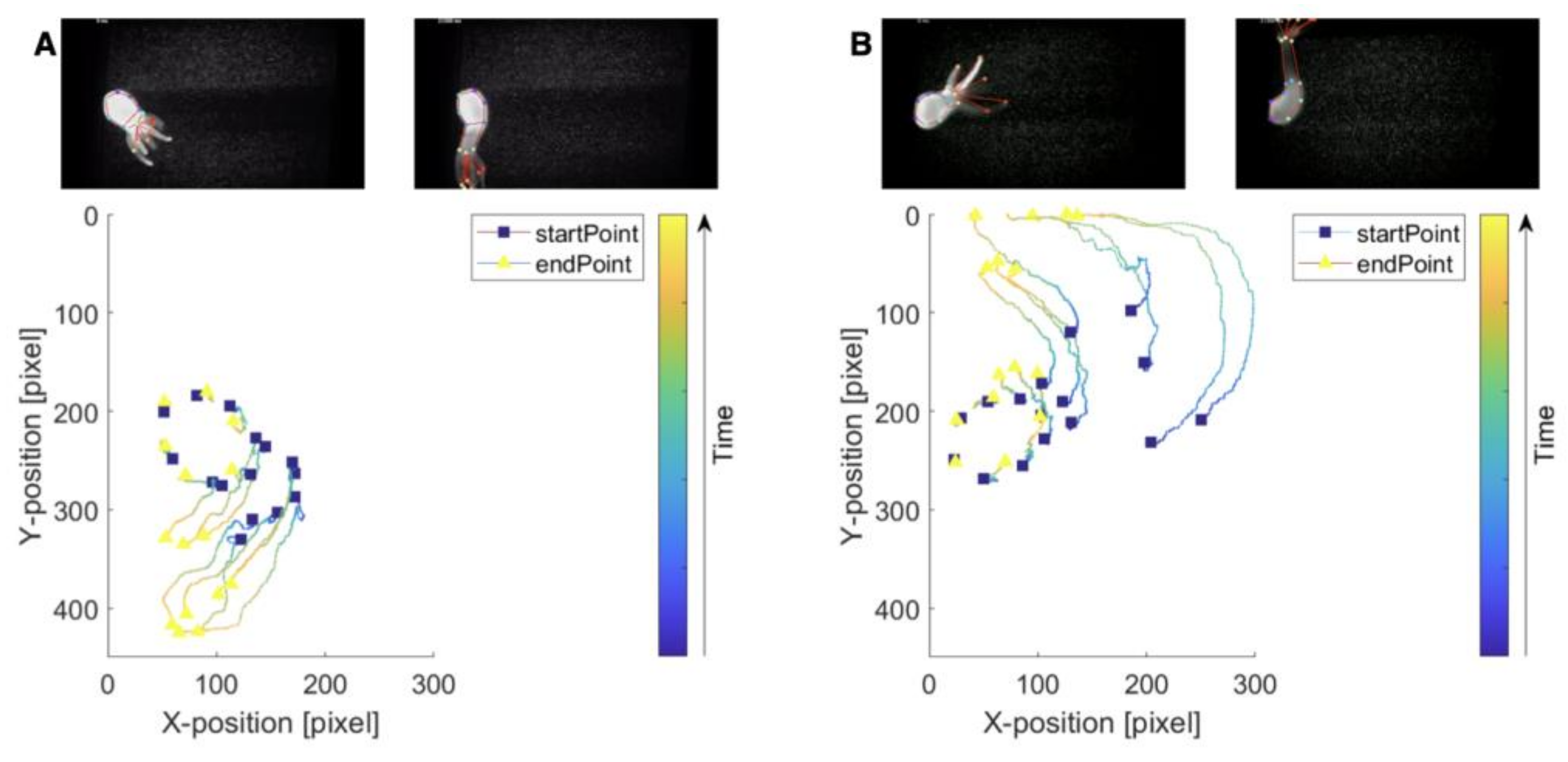 Biology 12 00116 g005 Biology 12 00116 g005