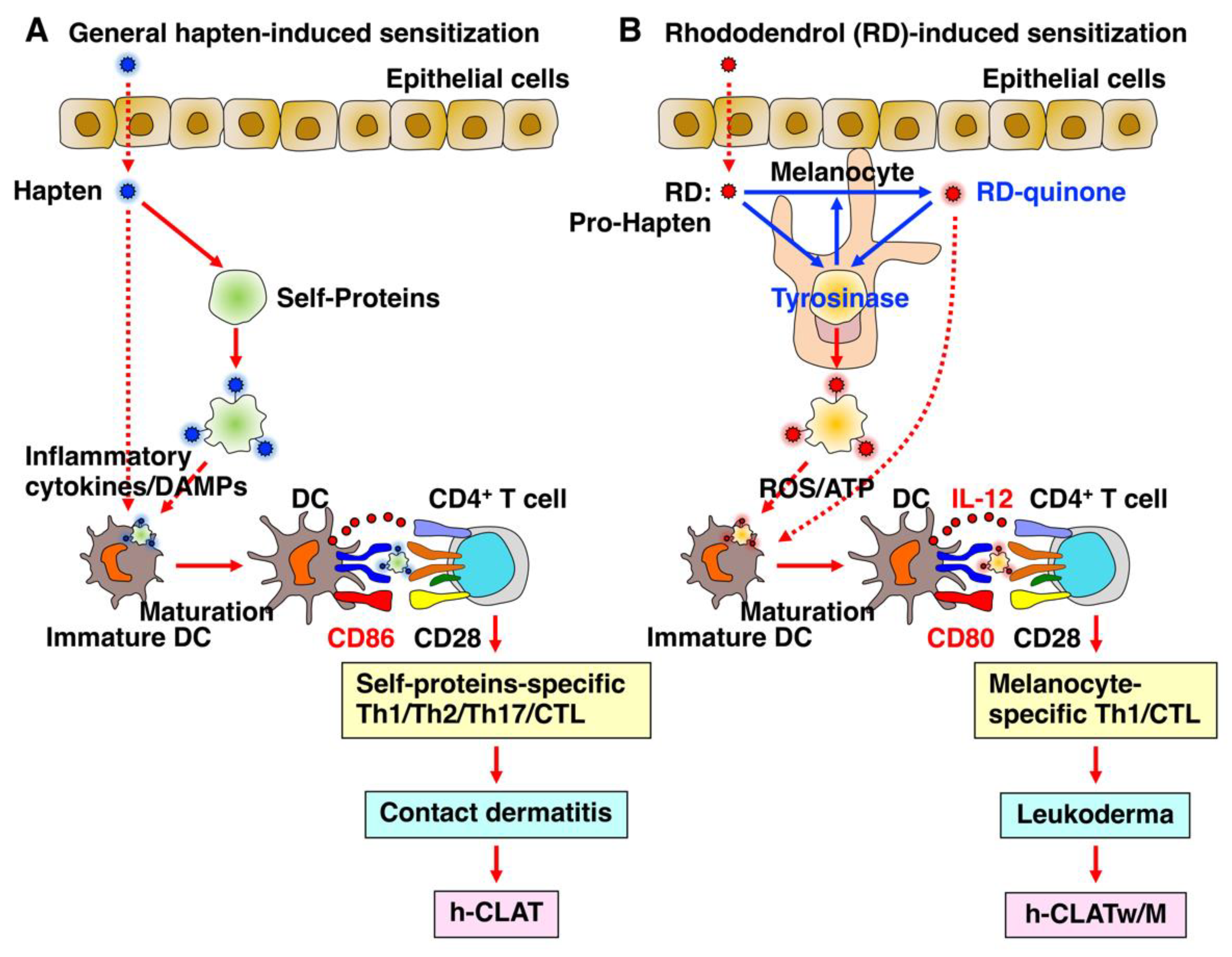 Biology 12 00123 g003 Biology 12 00123 g003
