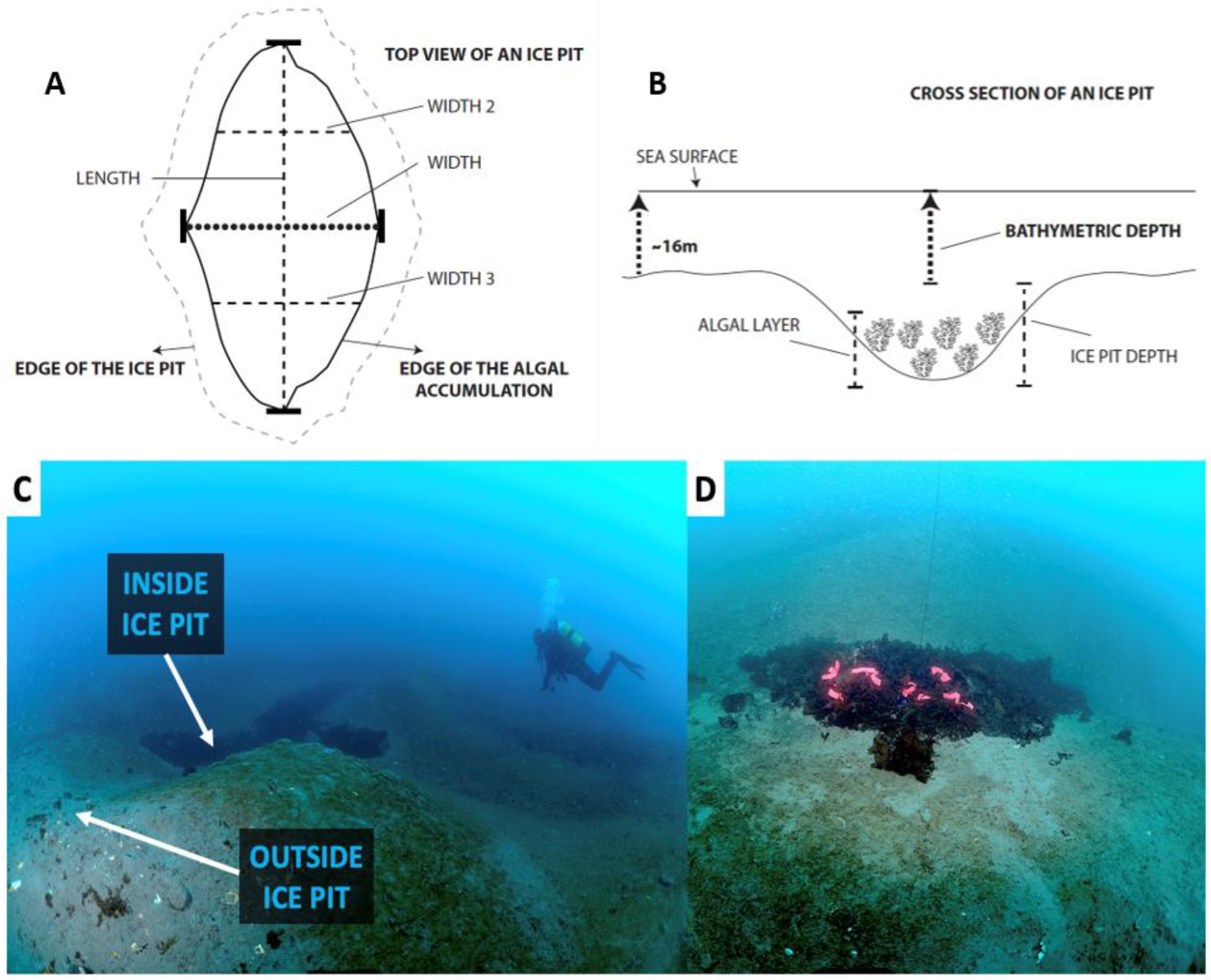 Biology 12 00128 g003