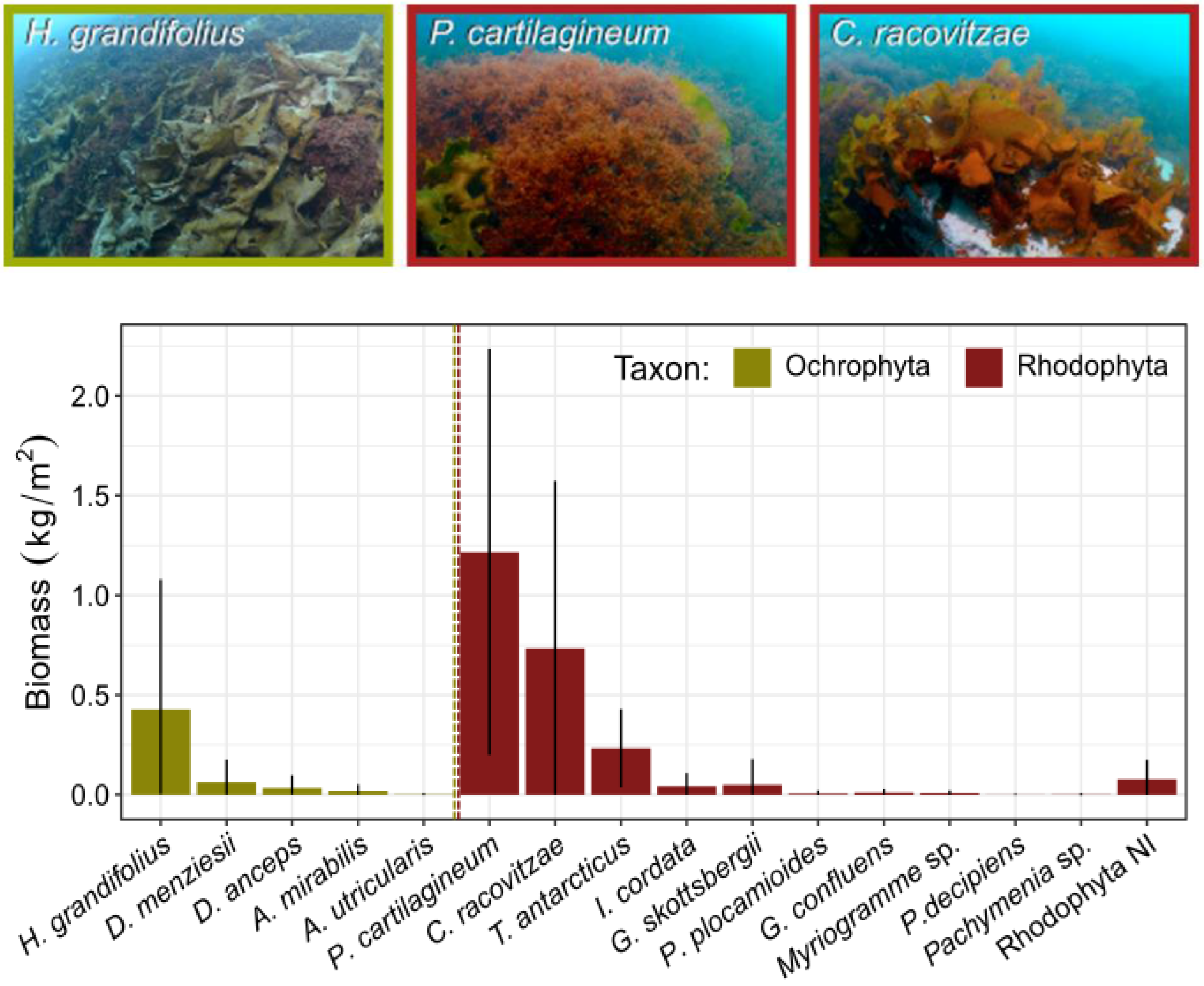Biology 12 00128 g004