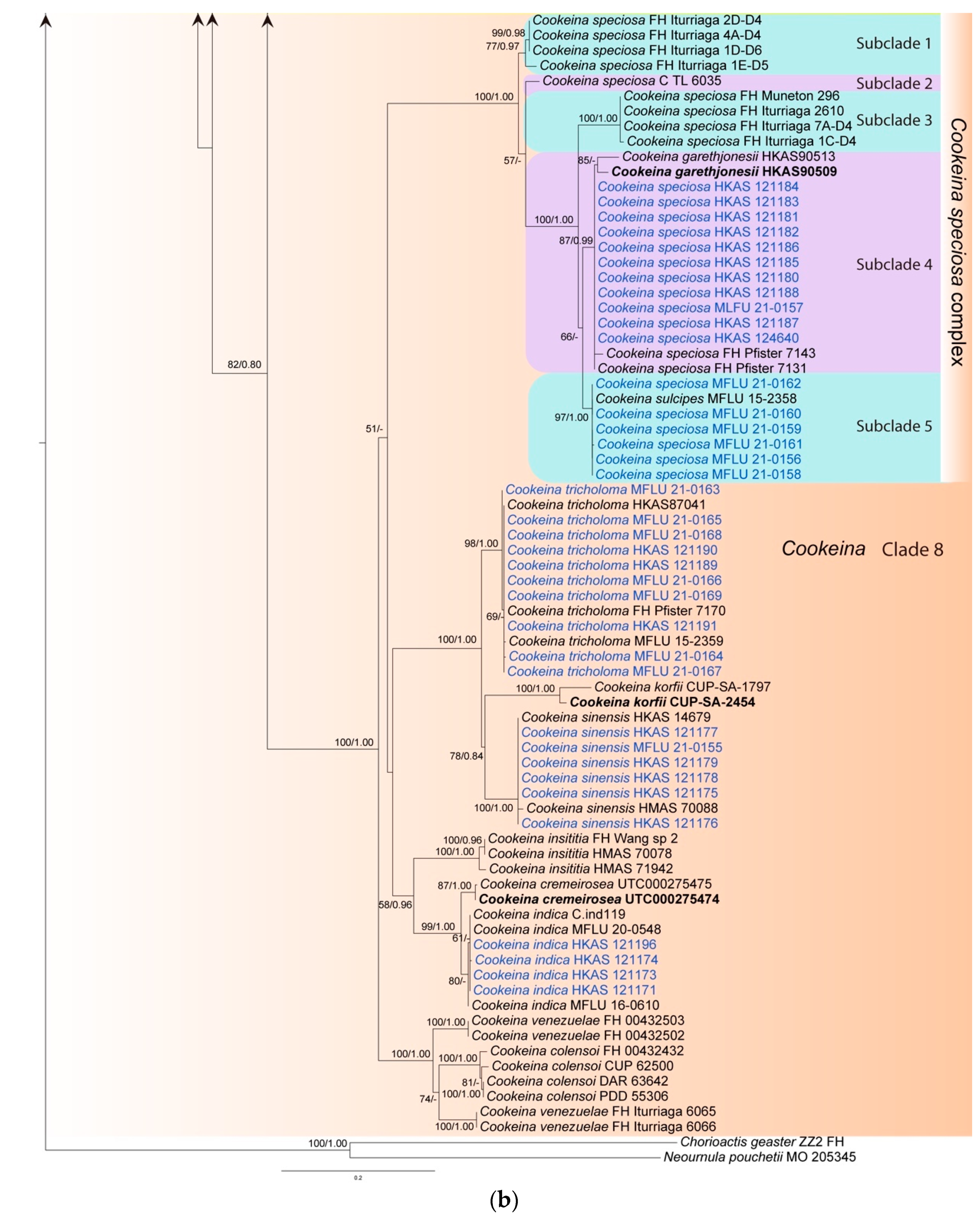 Biology 12 00130 g001b