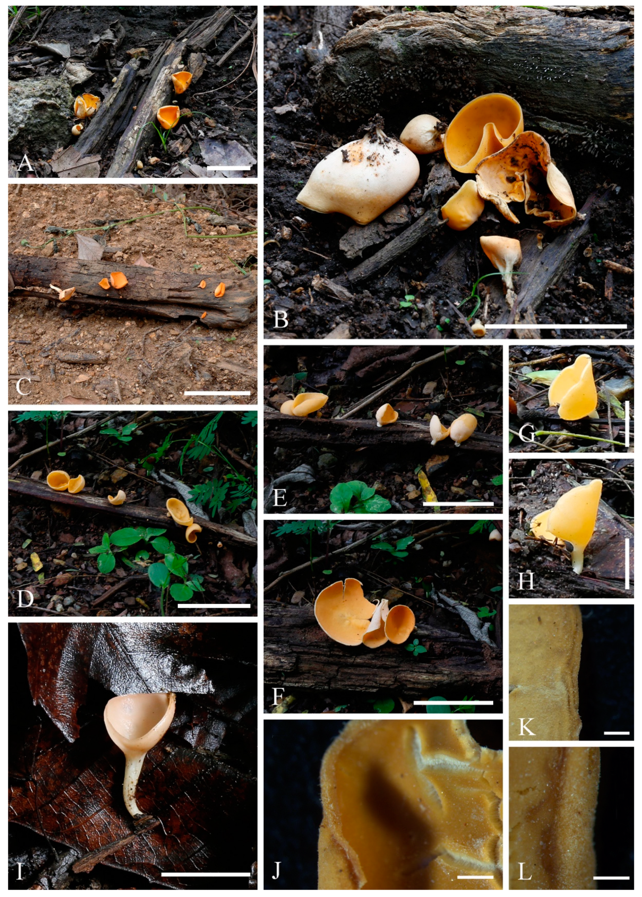 Biology 12 00130 g003