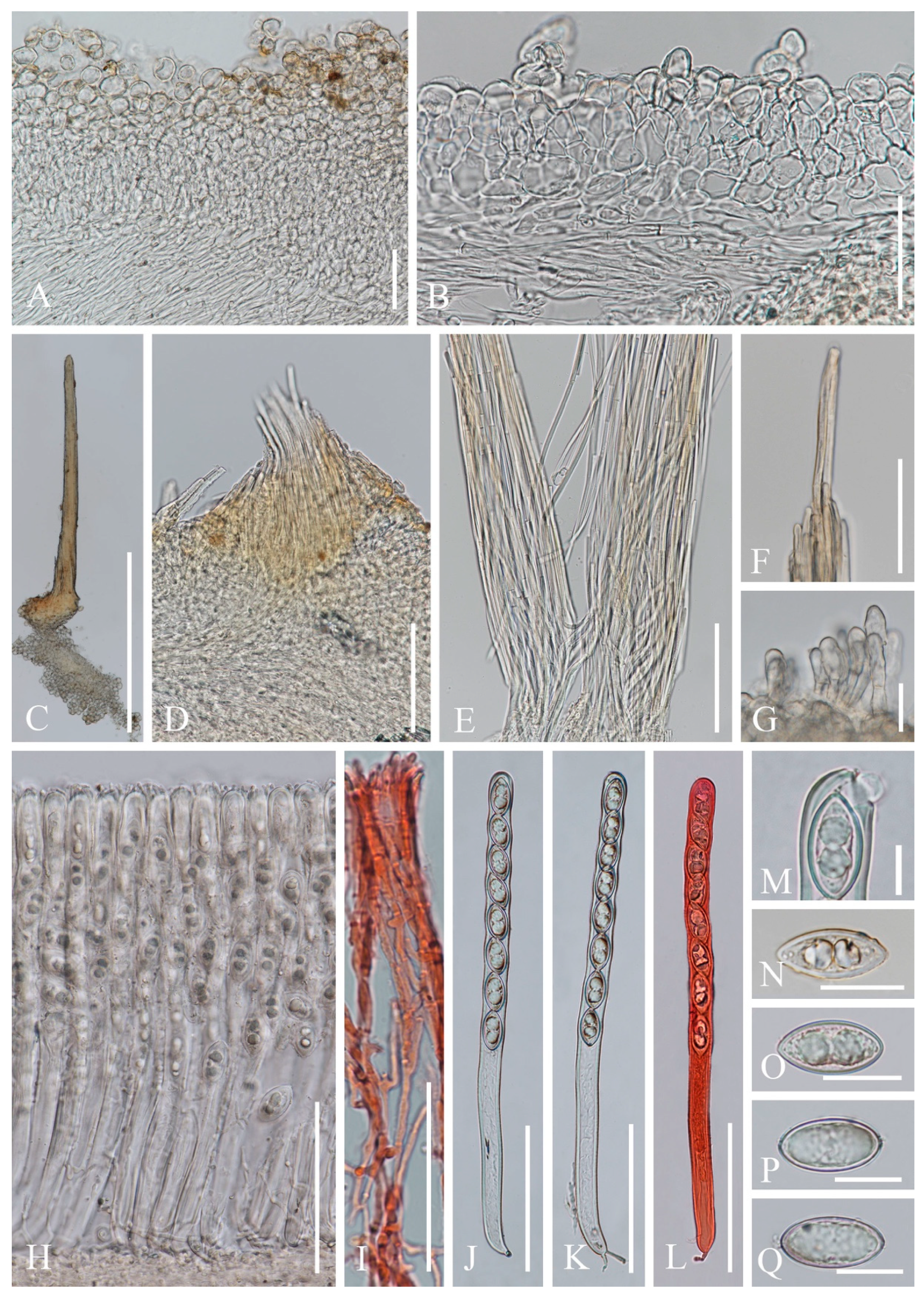 Biology 12 00130 g006