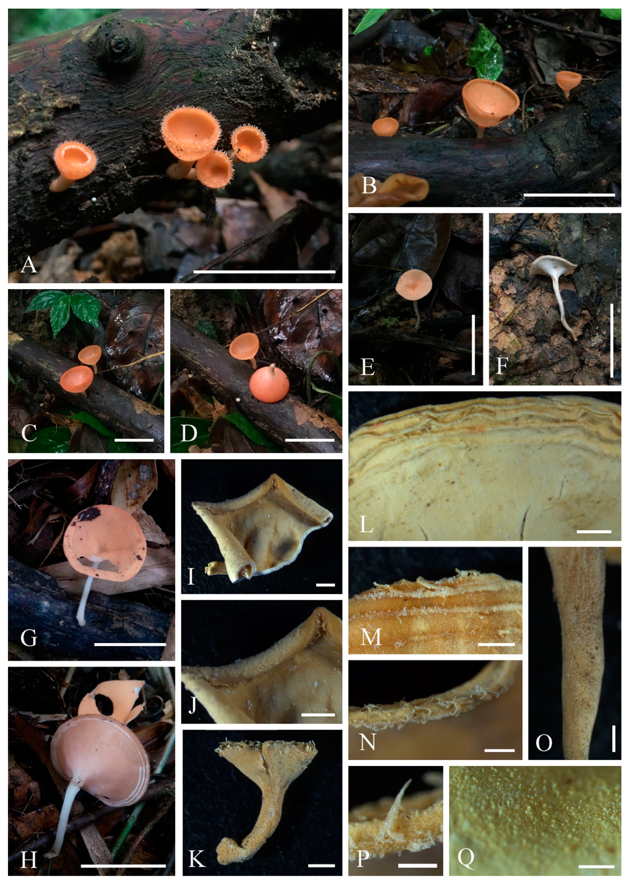 Biology 12 00130 g007