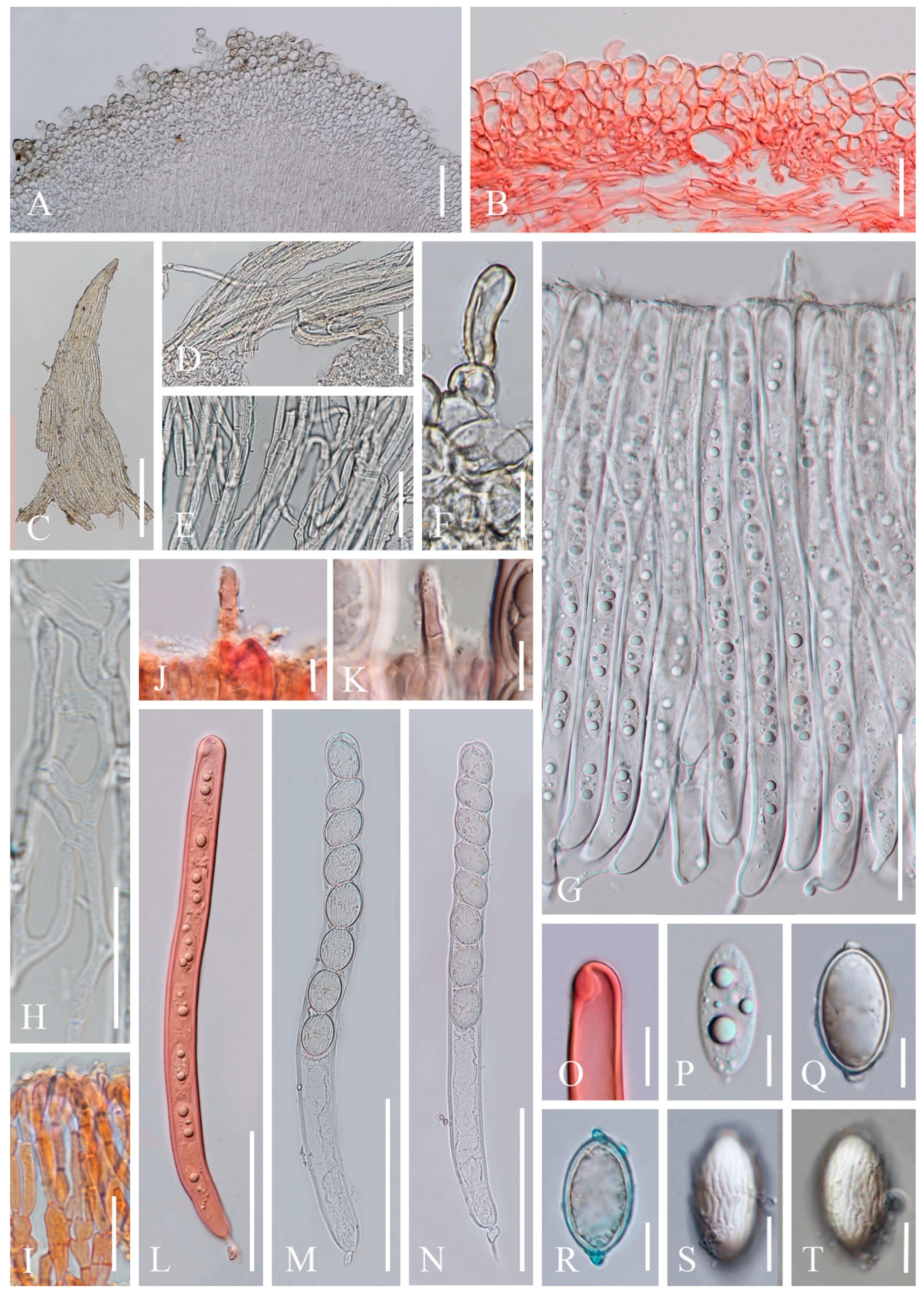 Biology 12 00130 g008