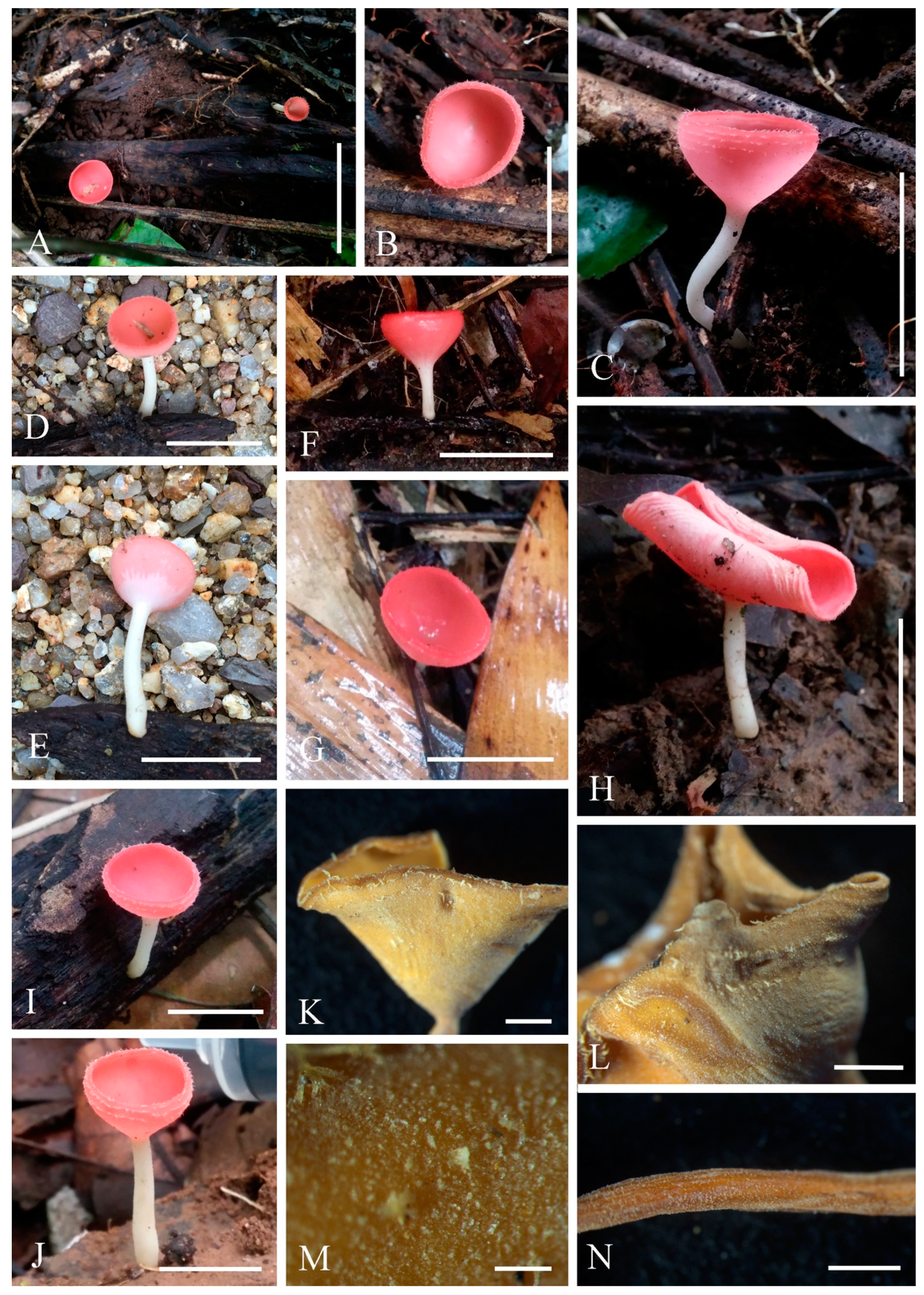 Biology 12 00130 g009