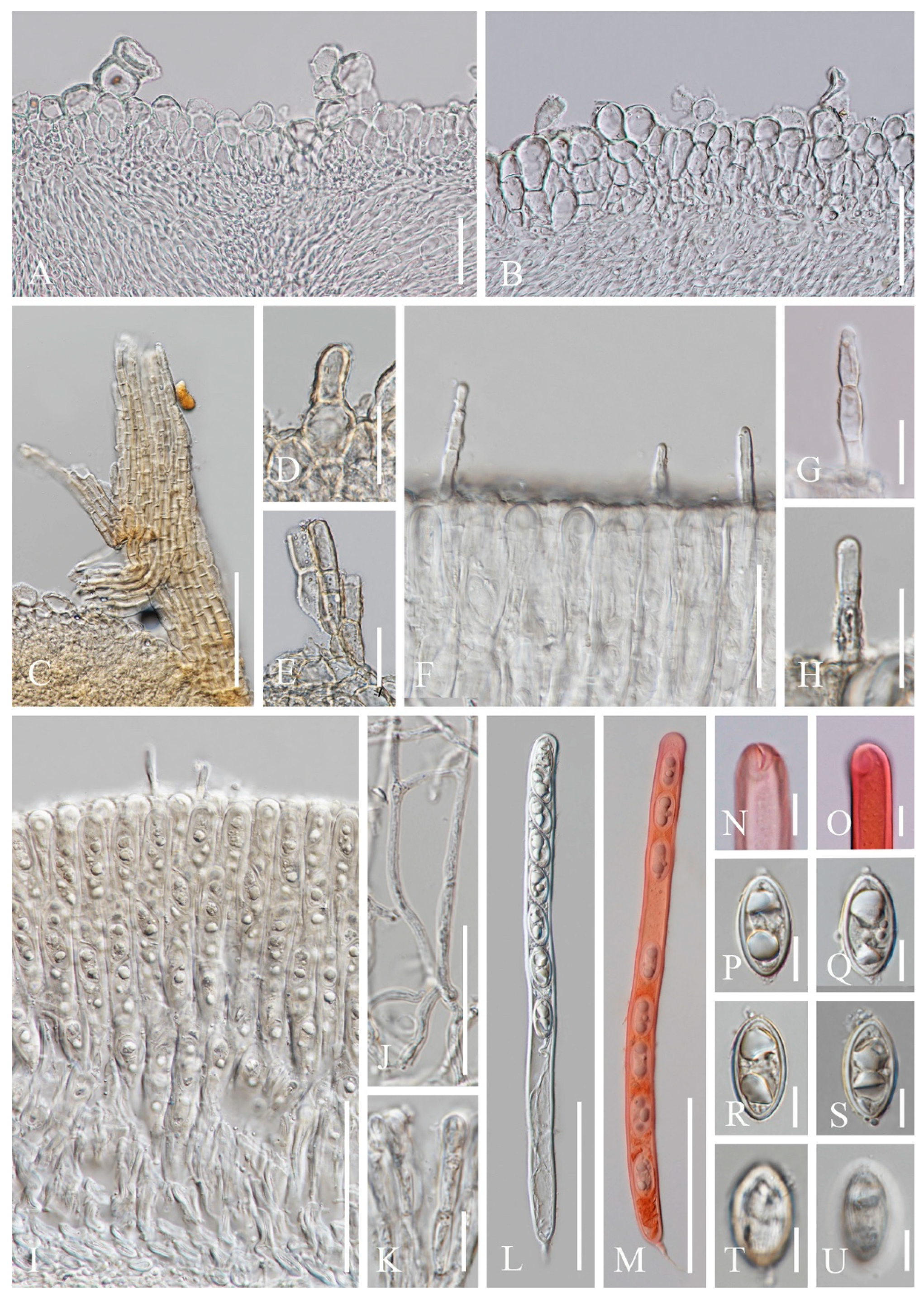 Biology 12 00130 g010