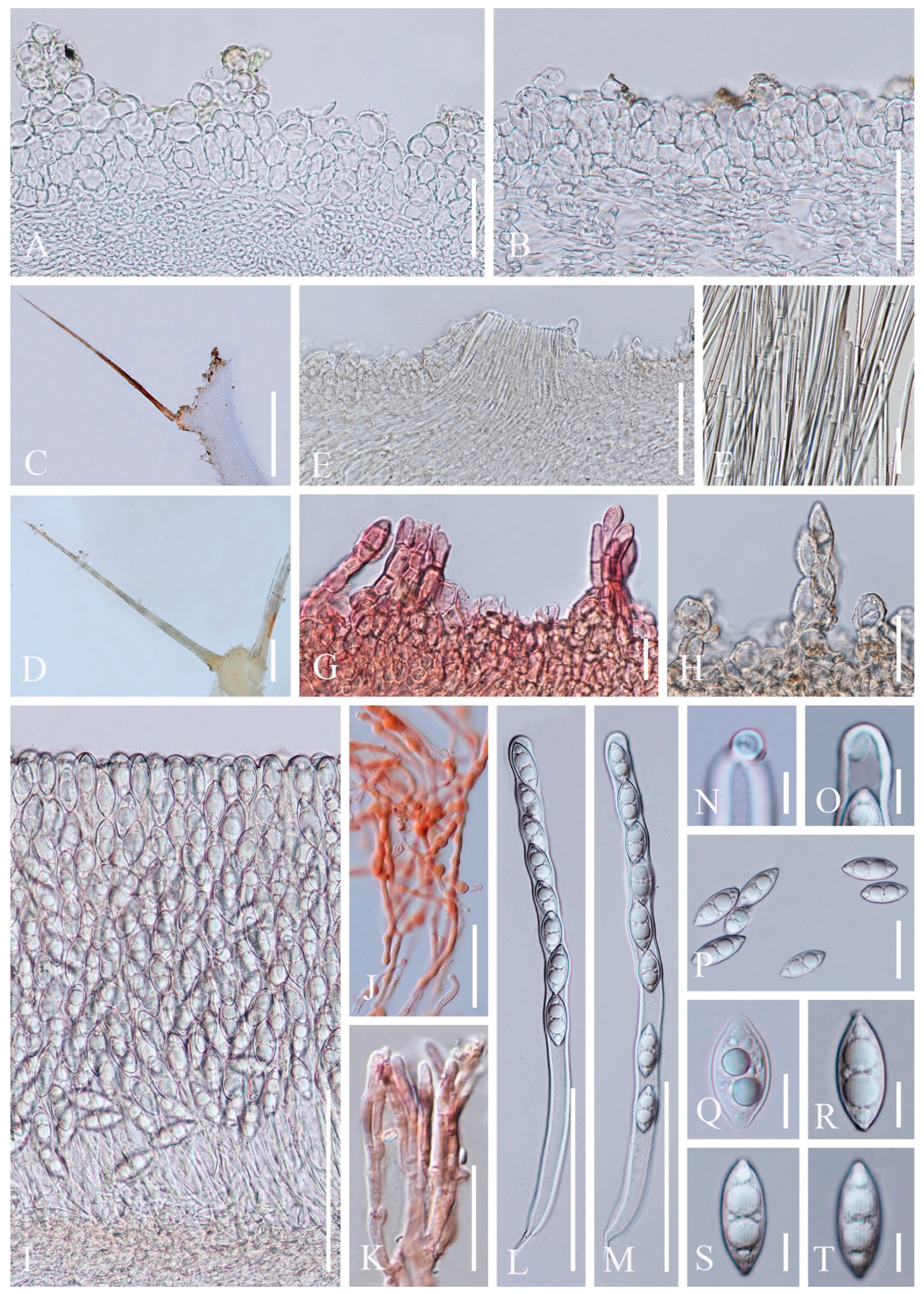 Biology 12 00130 g012